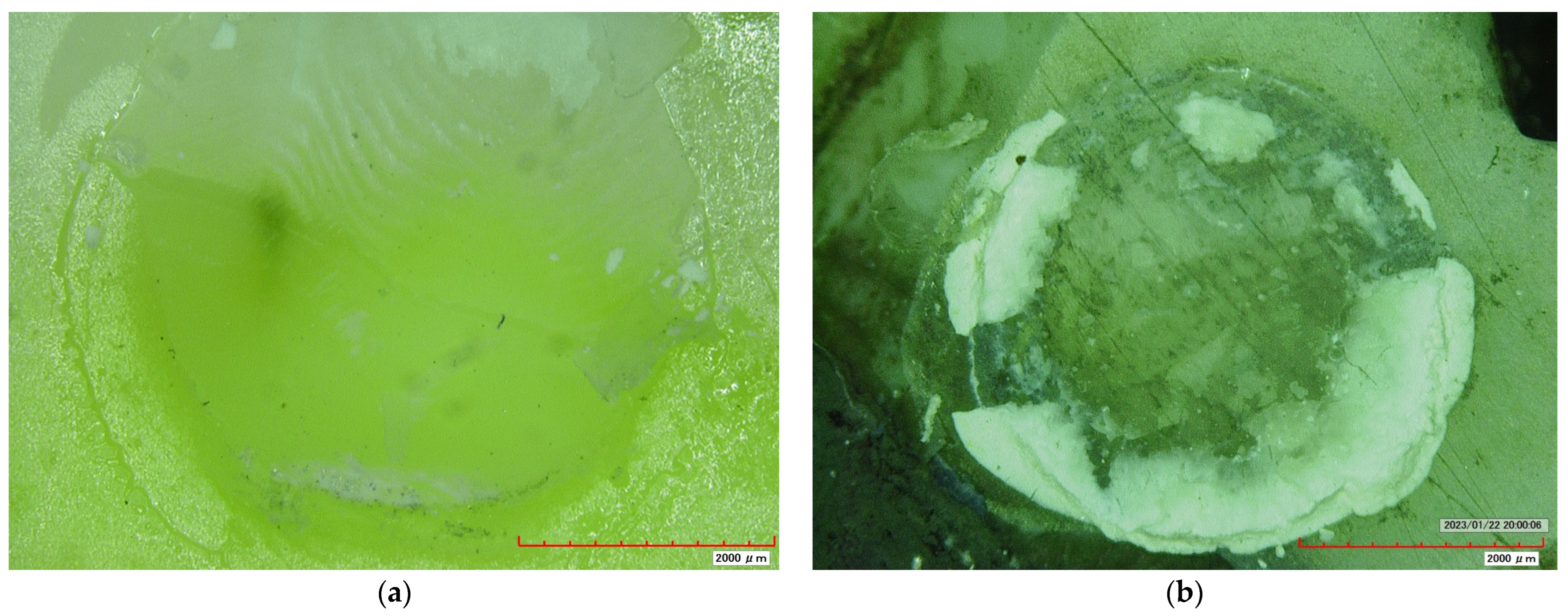 Materials 16 06831 g001