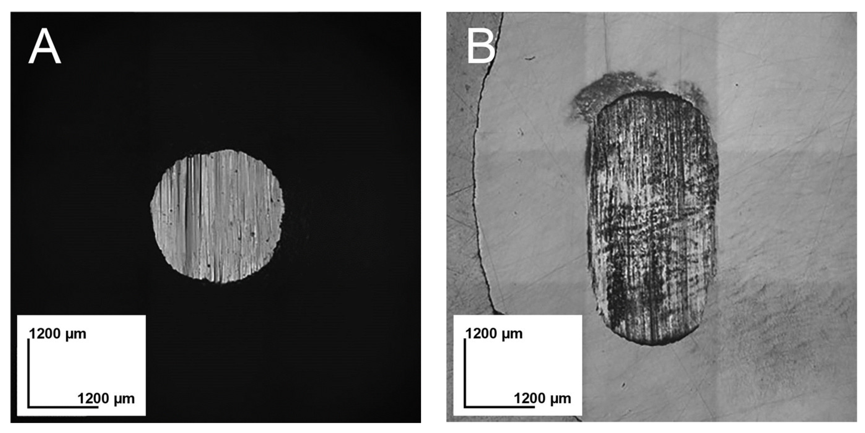 Materials 16 06839 g002
