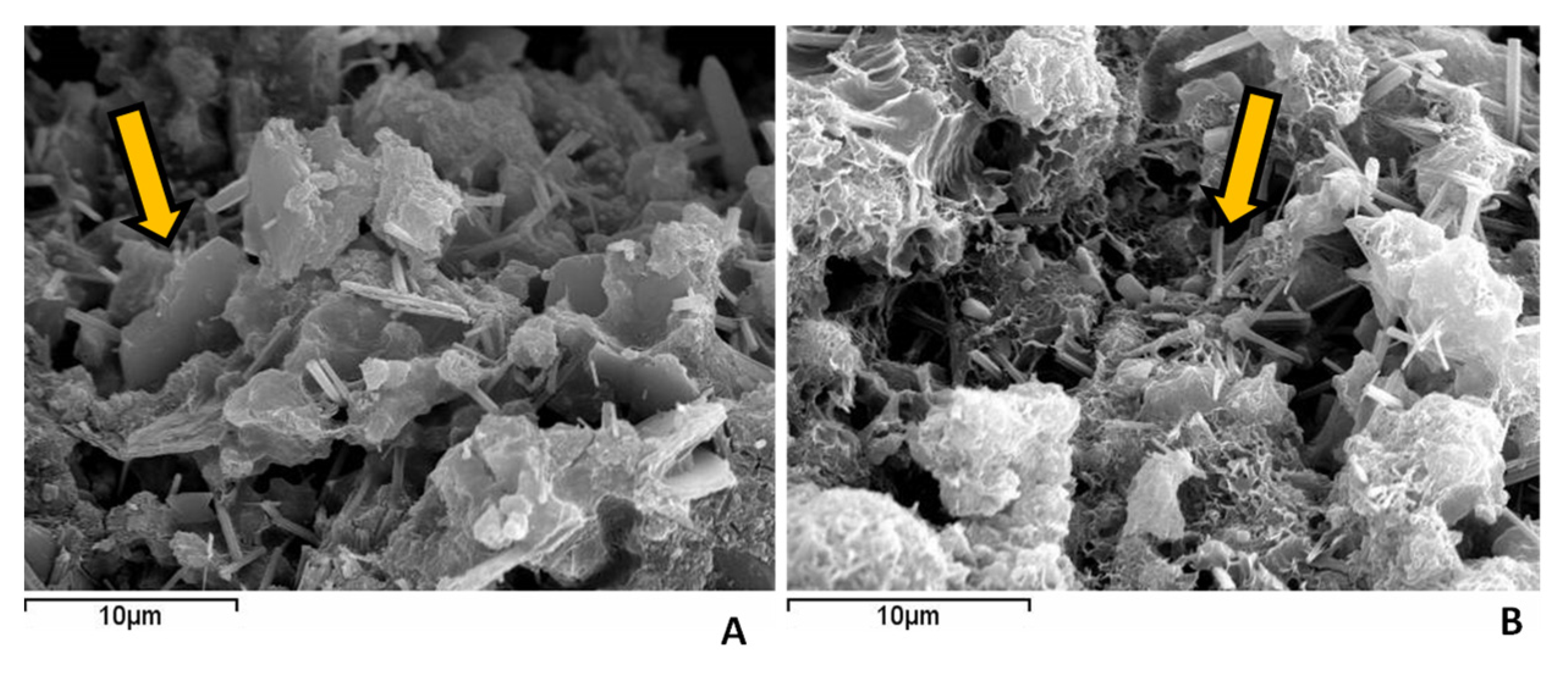 Materials 16 06841 g007