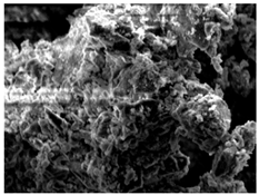 Materials 16 06850 i001