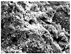 Materials 16 06850 i005