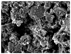 Materials 16 06850 i007