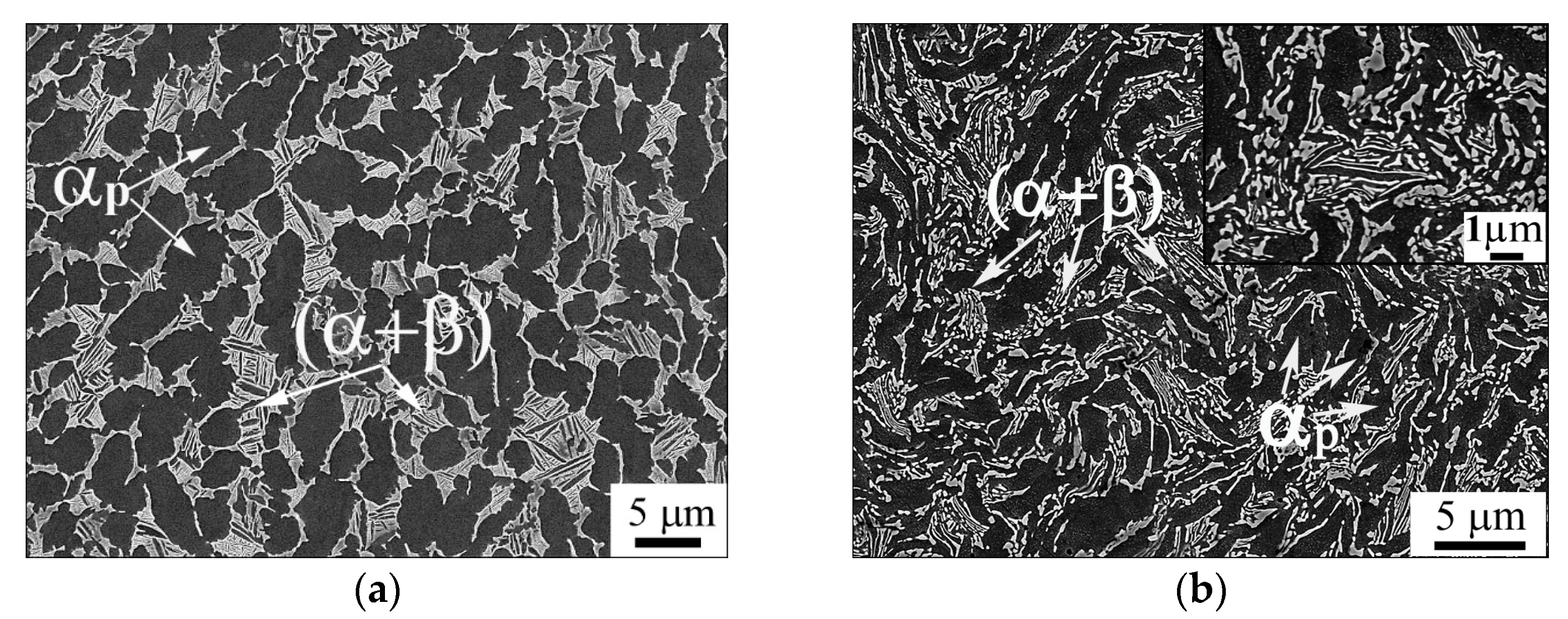 Materials 16 06851 g001