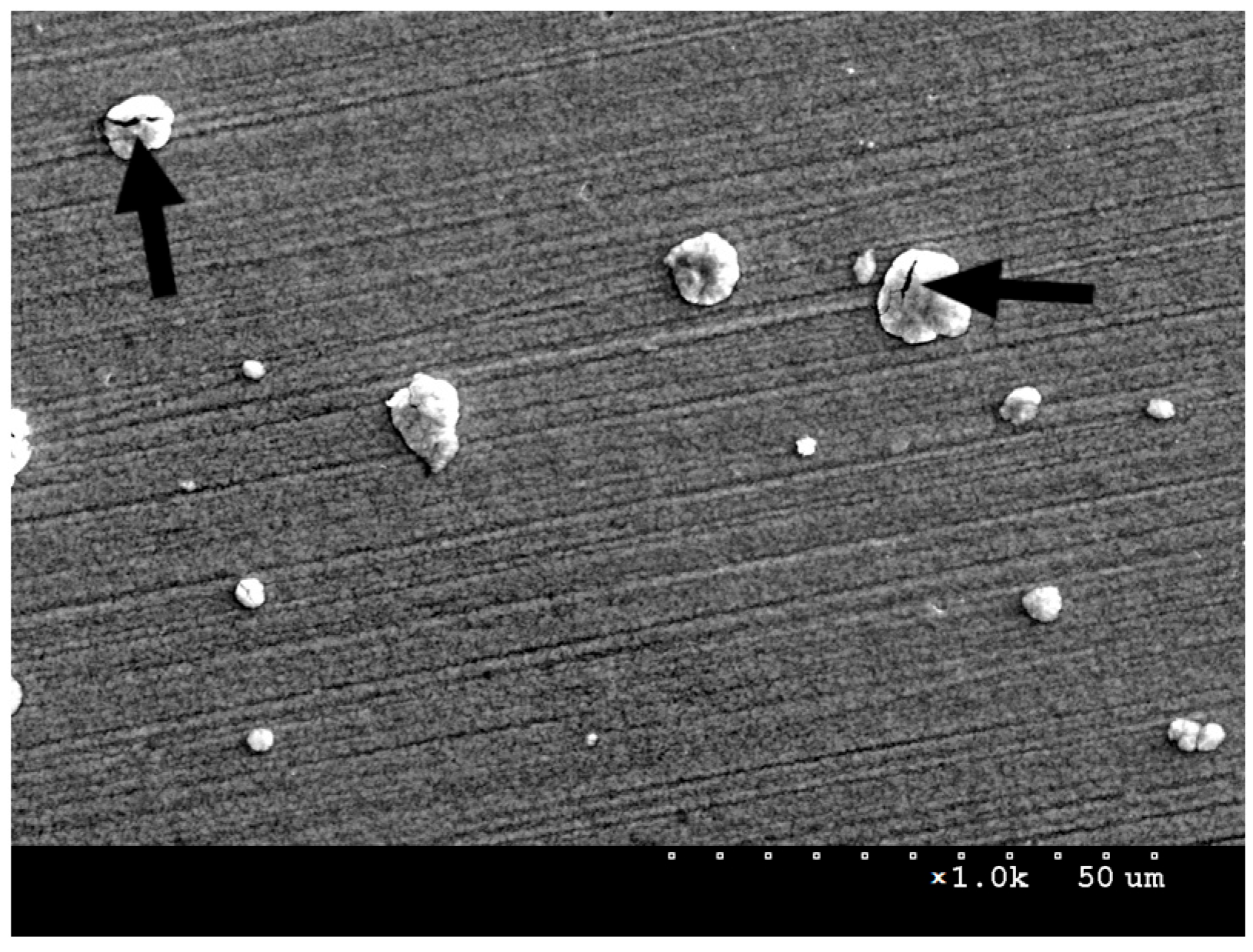 Materials 16 06890 g004