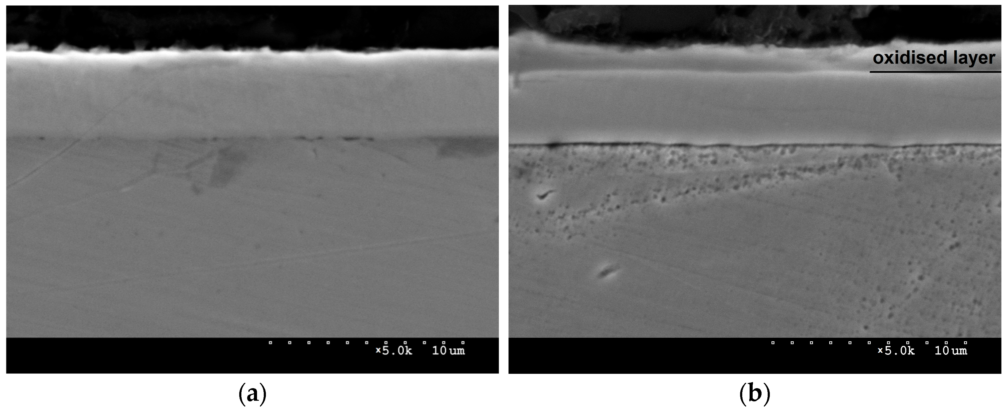 Materials 16 06890 g006