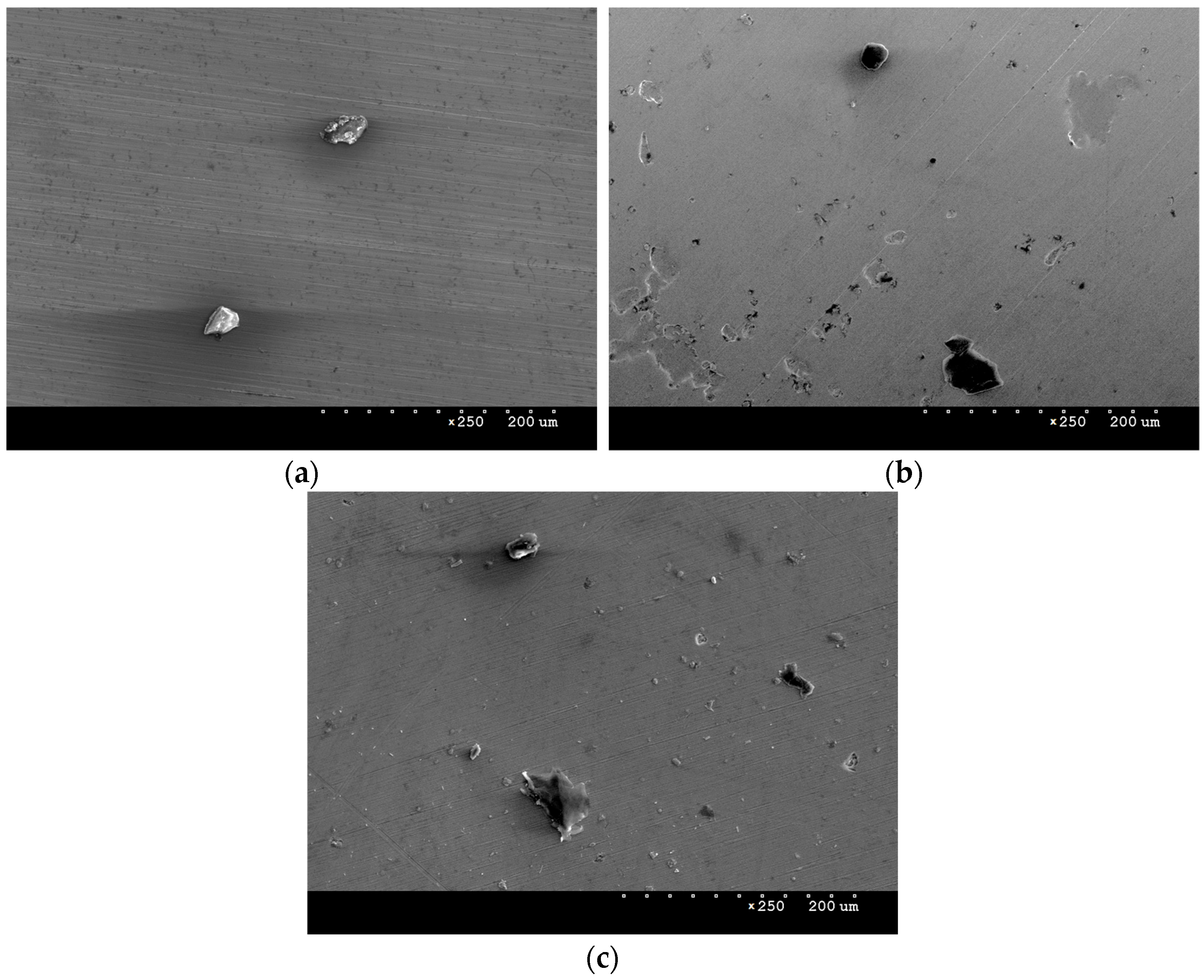 Materials 16 06890 g010