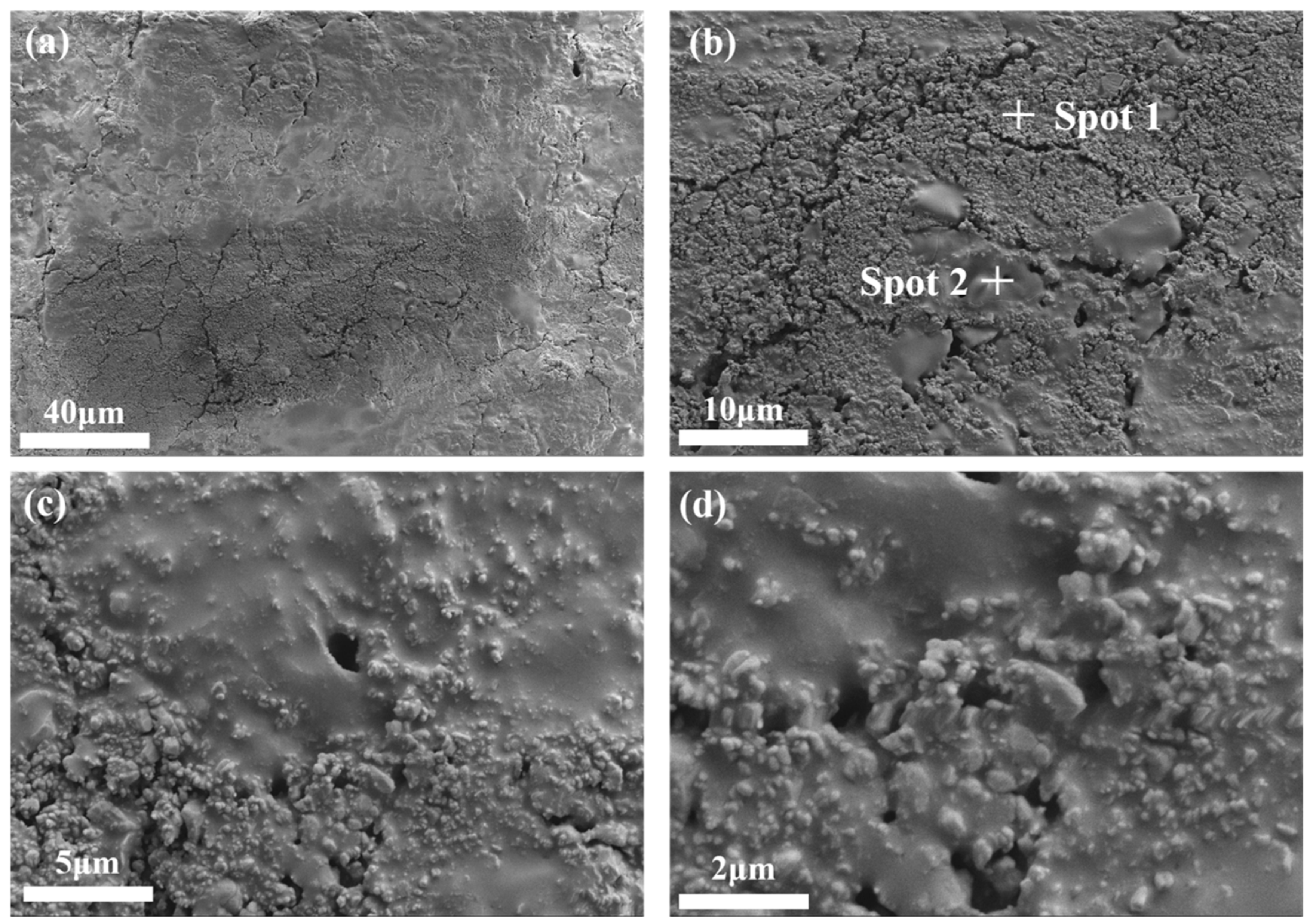 Materials 16 06900 g009