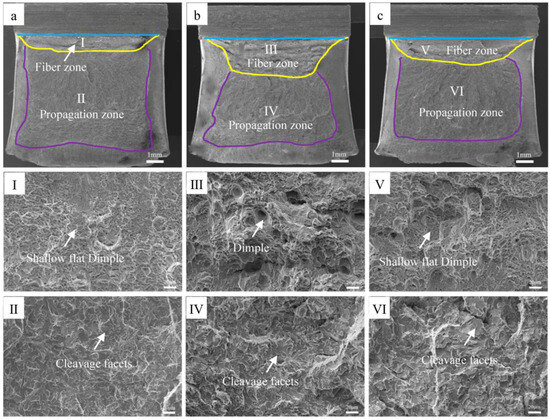 Effects of Normalizing Temperature on Microstructure and