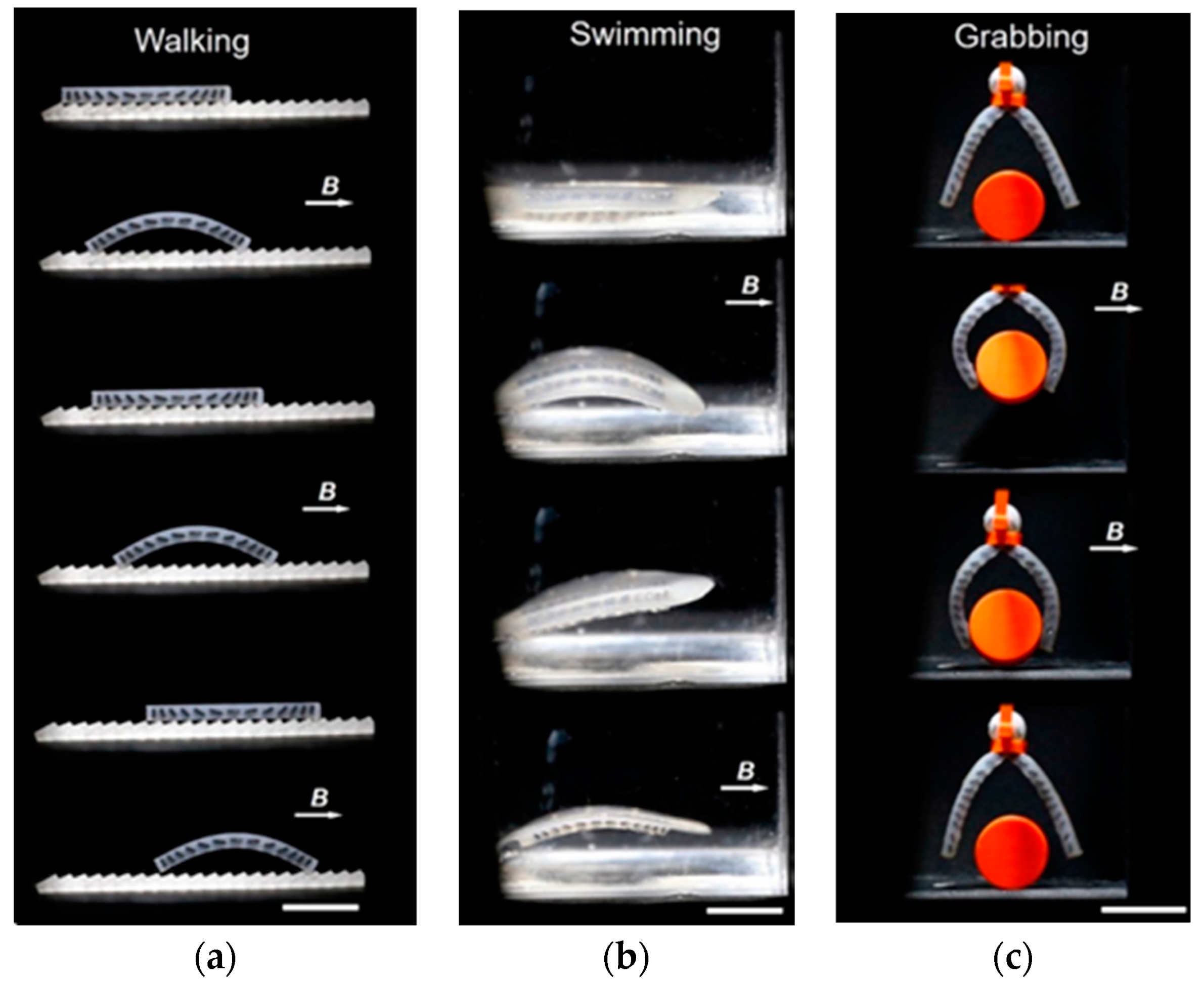 Materials 16 06928 g026