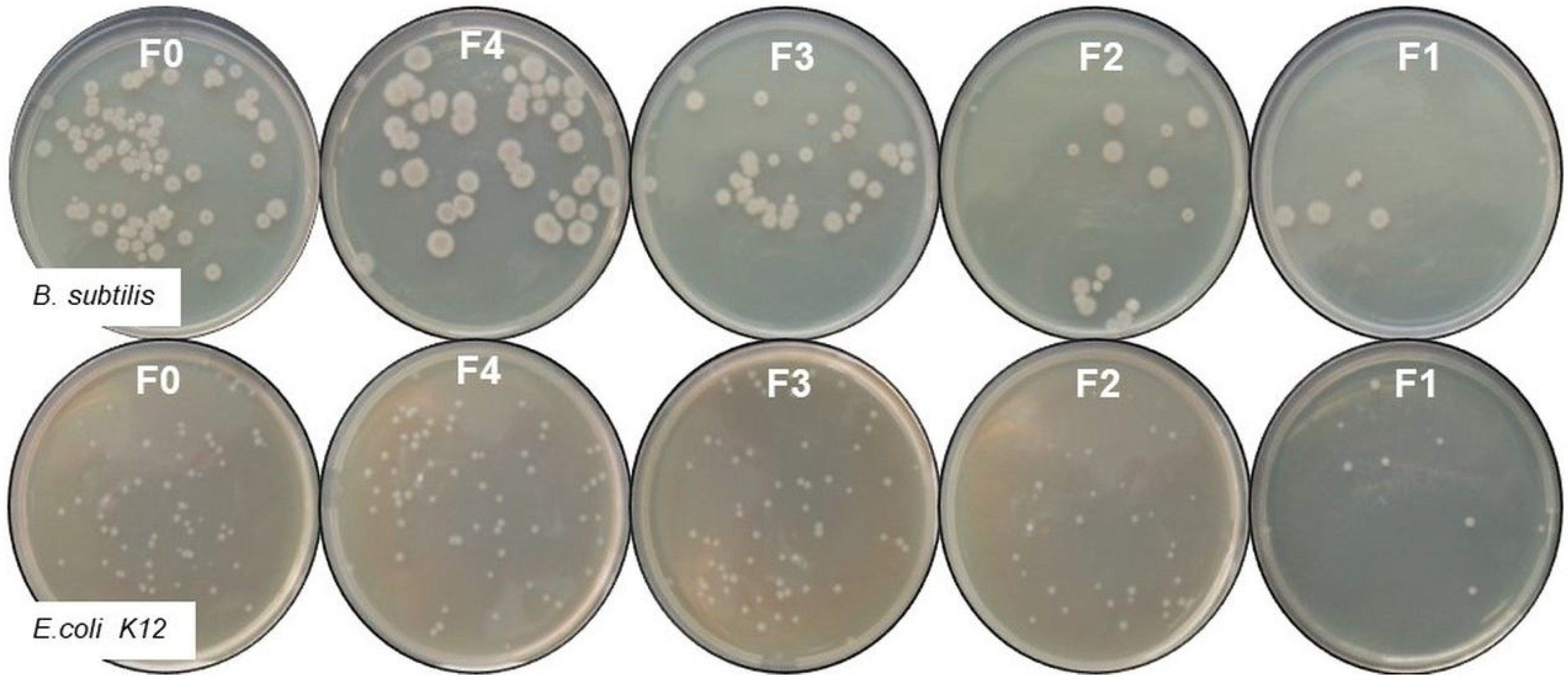 Materials 16 06936 g007