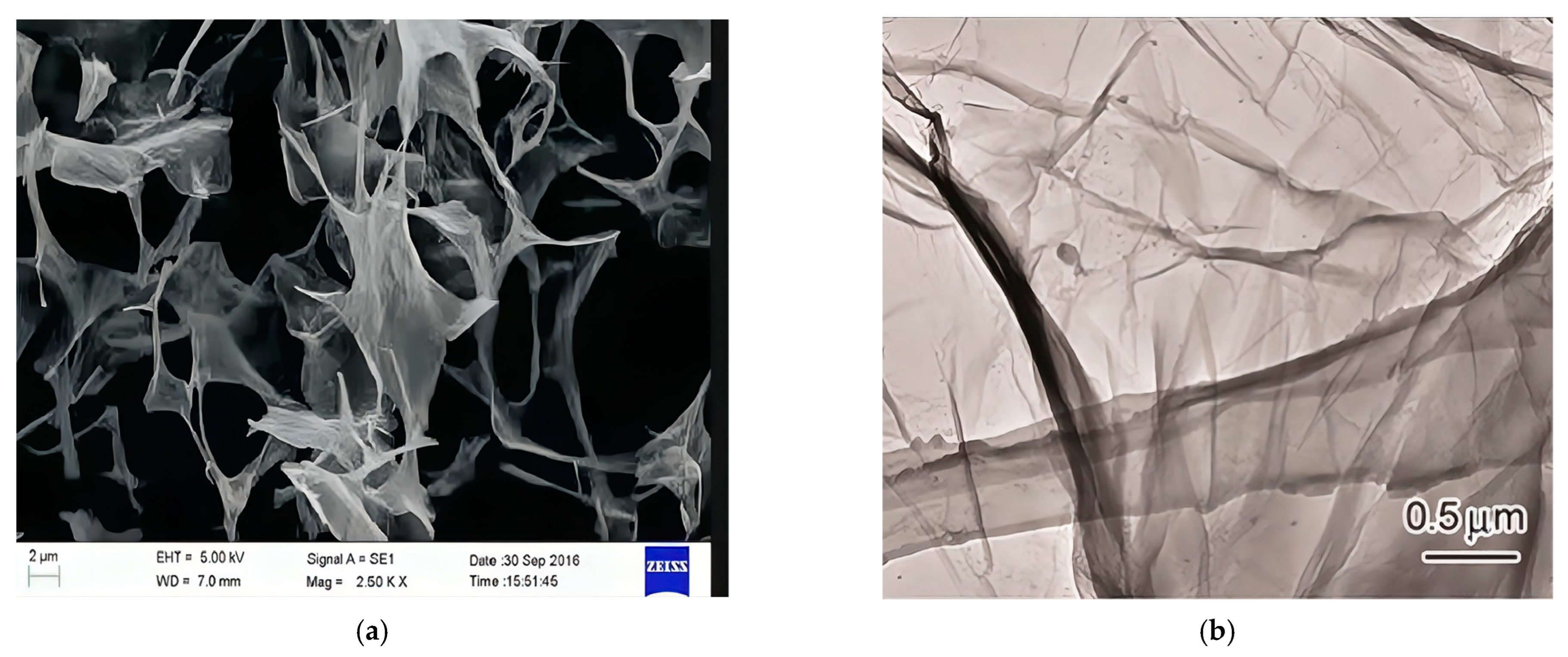 Materials 16 06949 g002