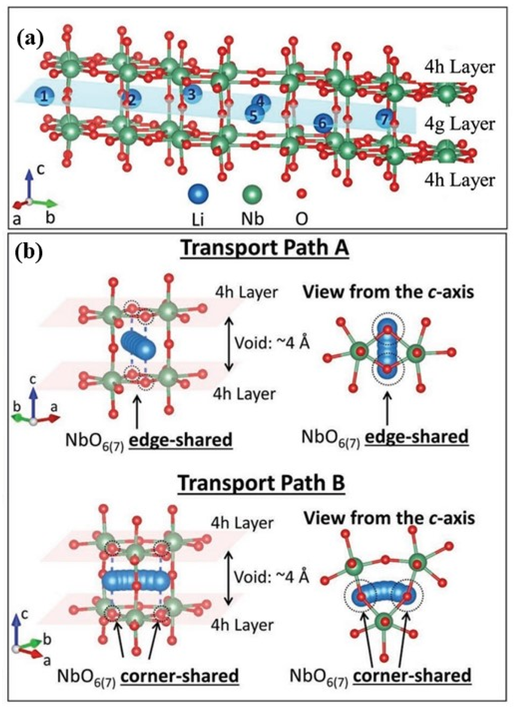 Materials 16 06956 g007