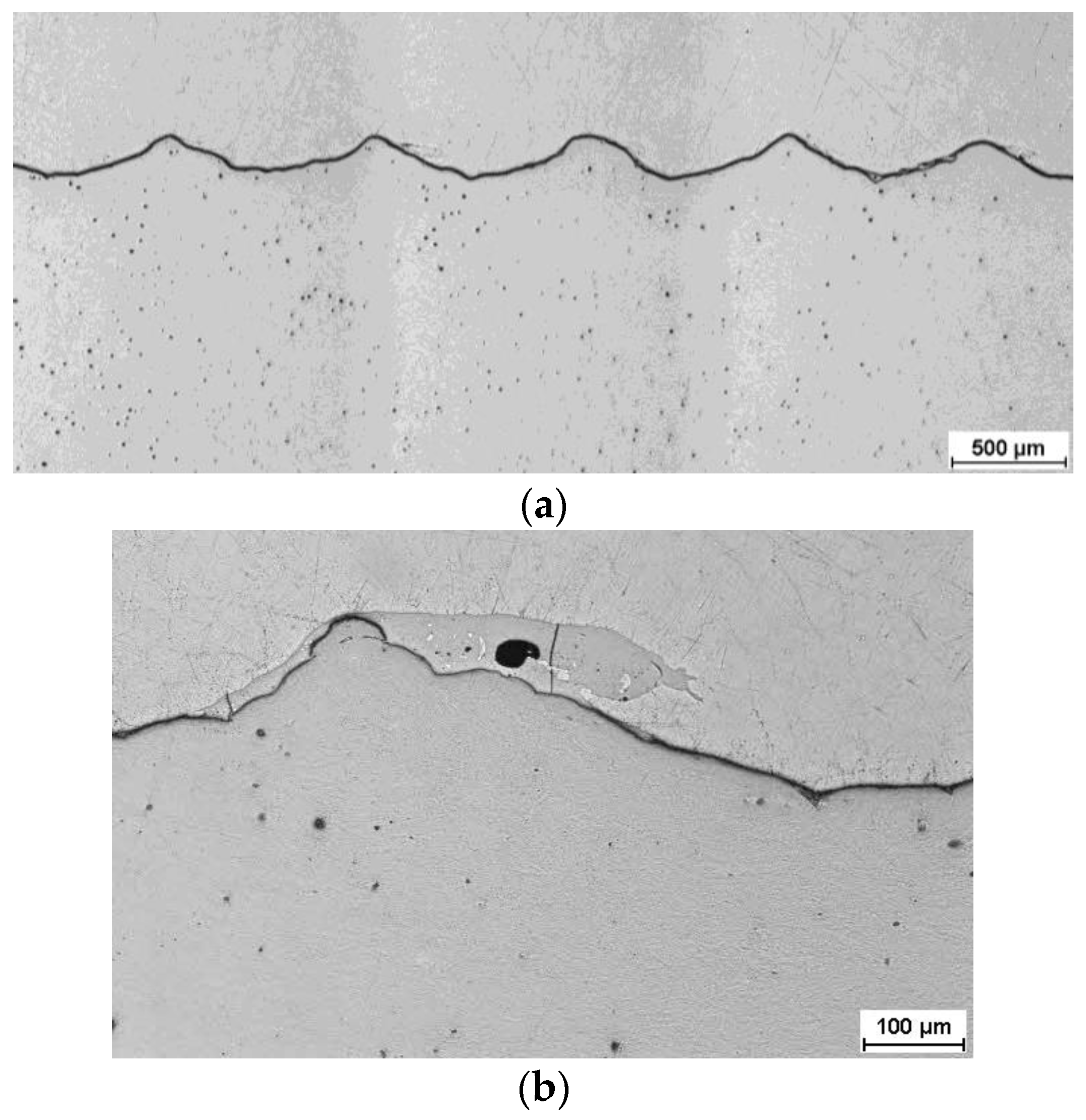 Materials 16 06971 g005