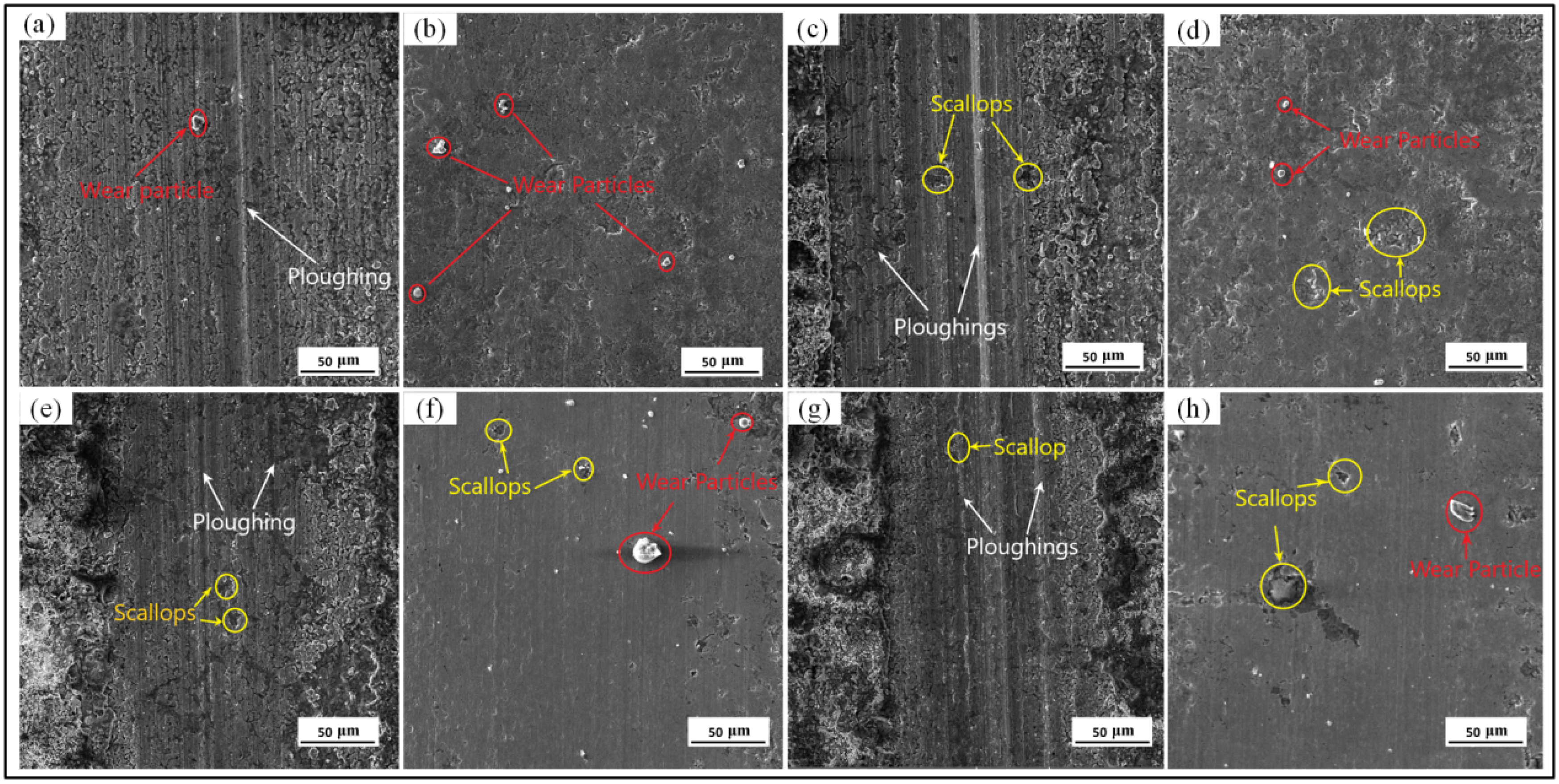 Materials 16 06975 g010