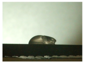 Materials 16 06985 i015