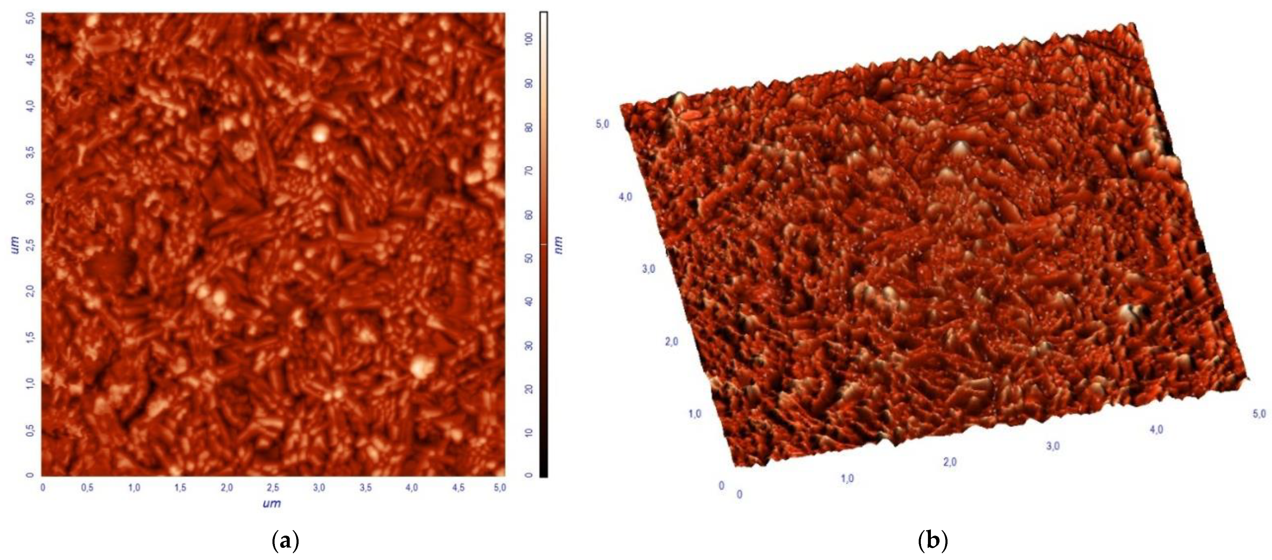 Materials 16 06987 g005