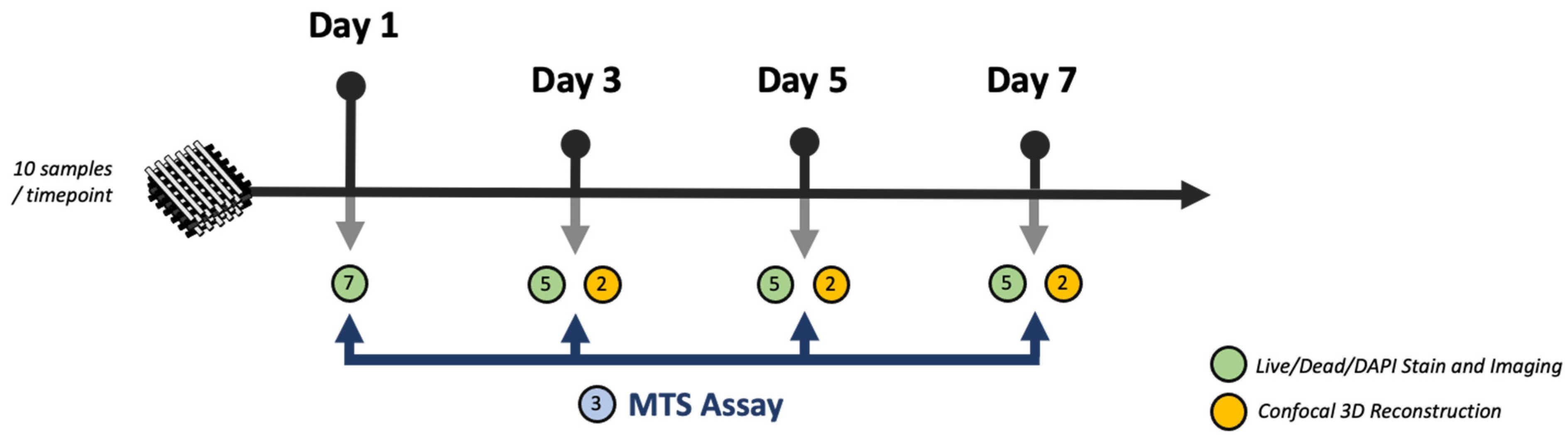 Materials 16 06996 g002