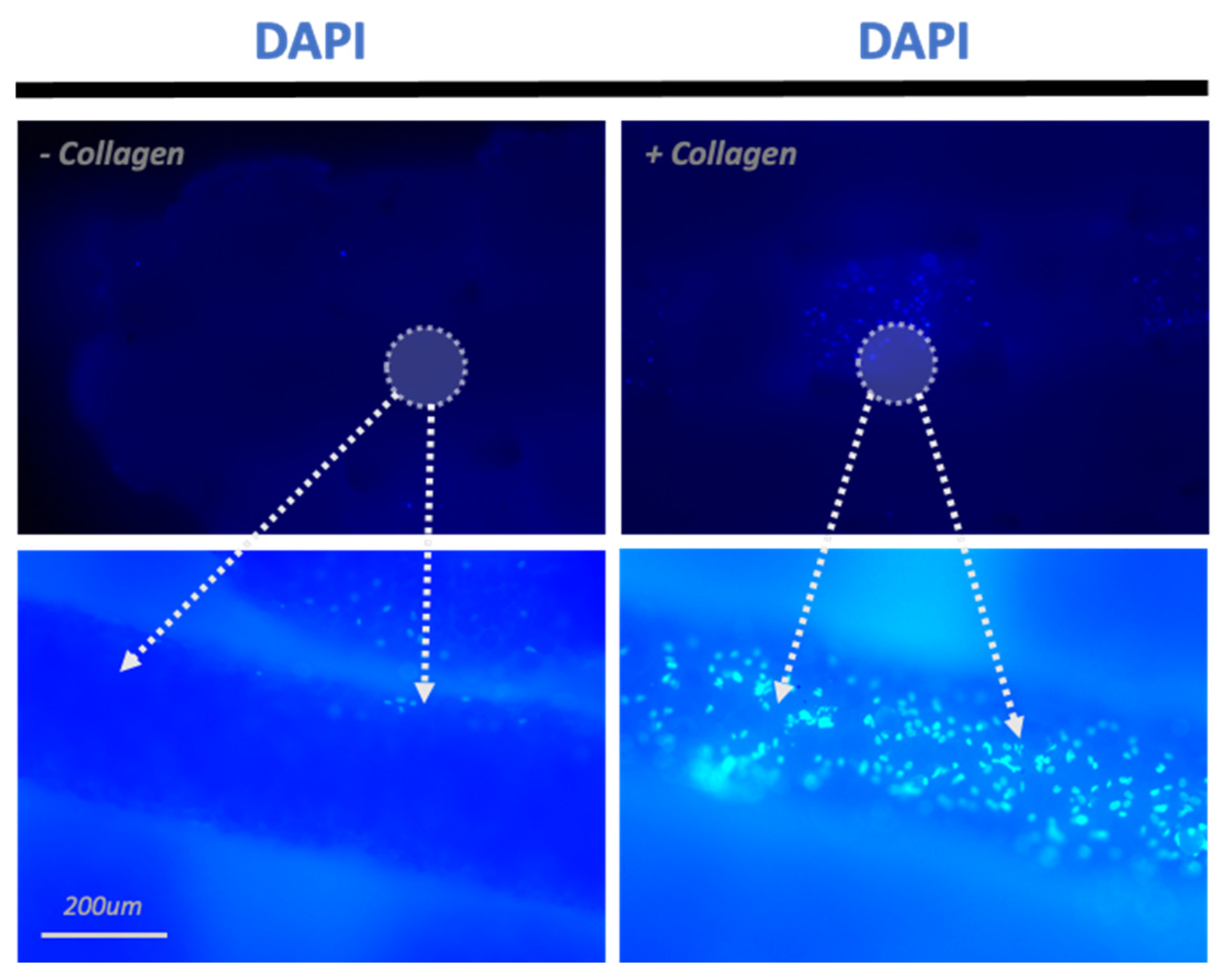 Materials 16 06996 g003