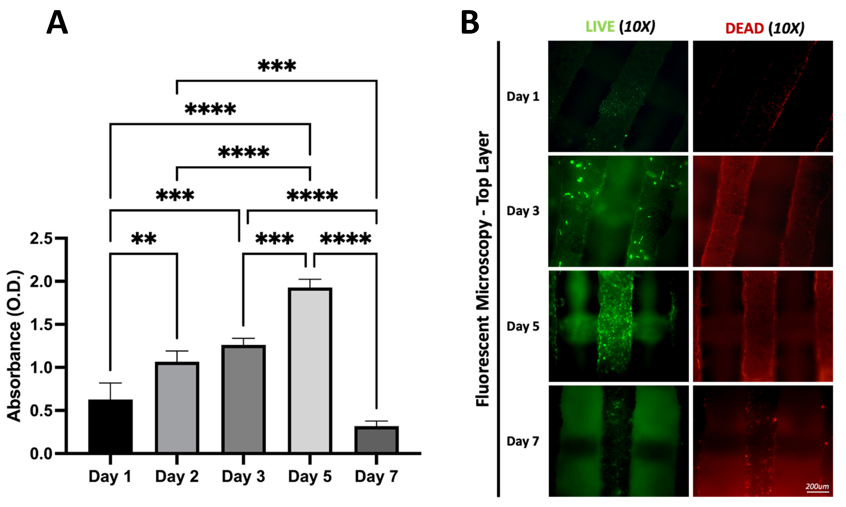 Materials 16 06996 g005