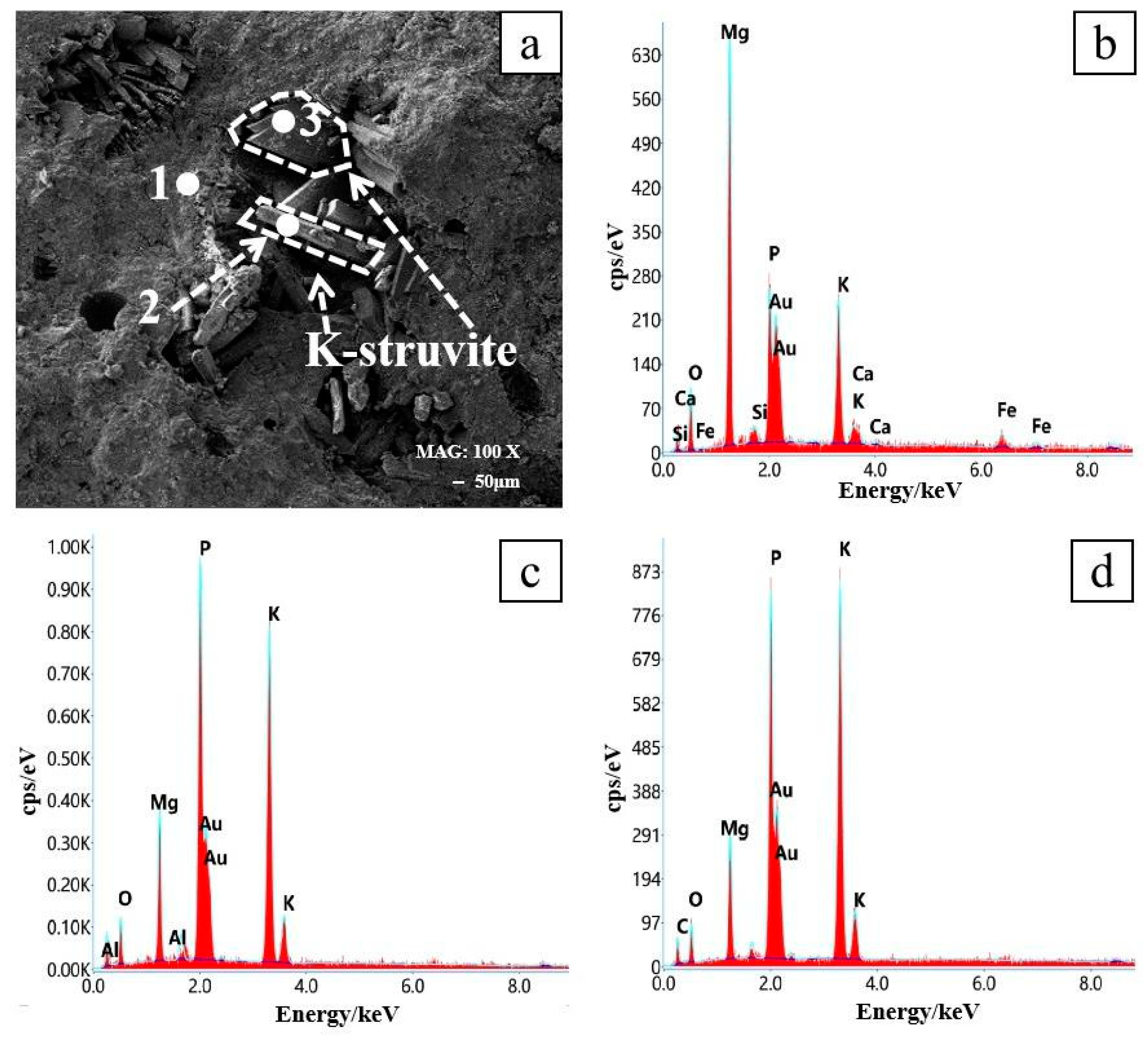 Materials 16 07010 g006