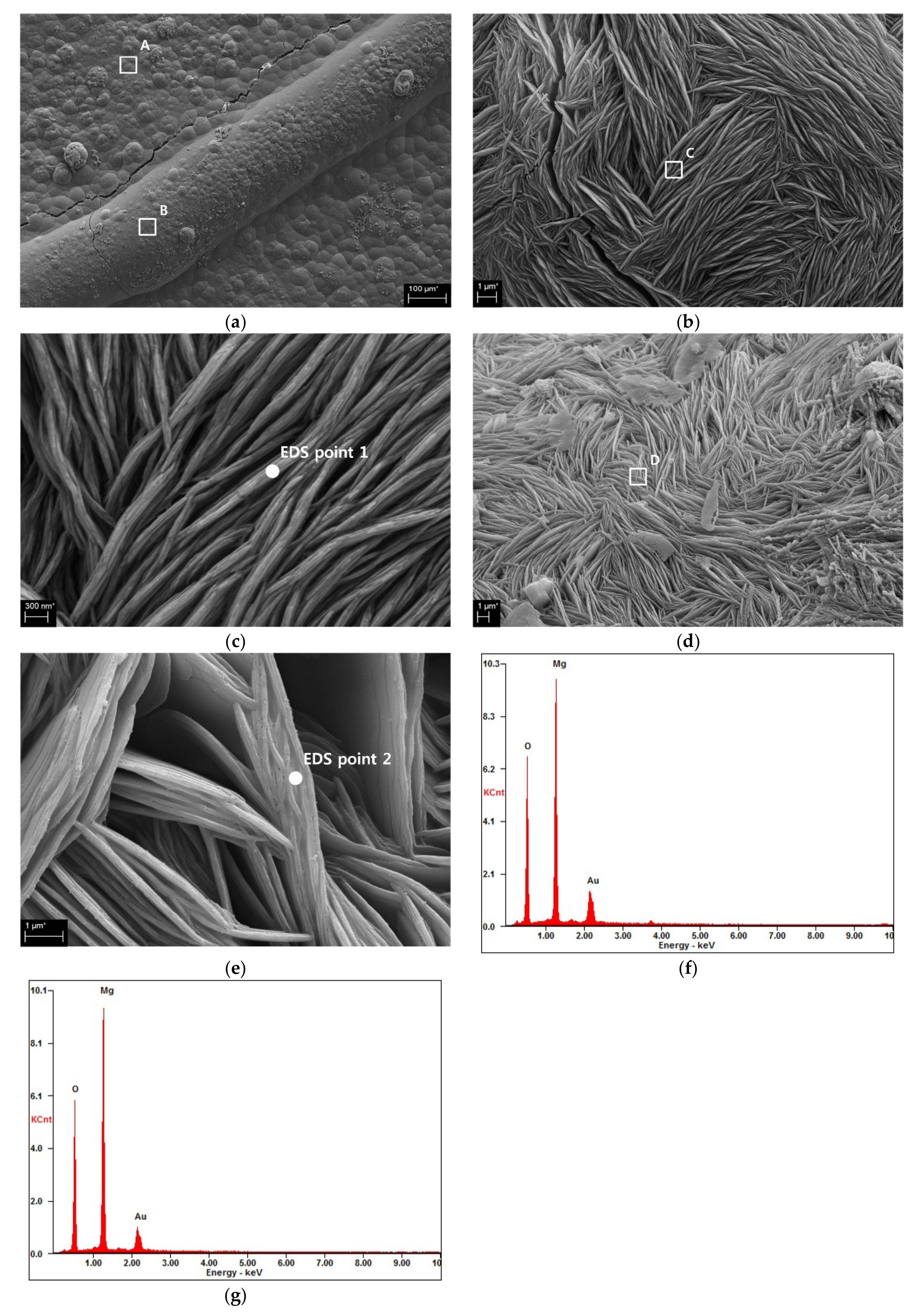 Materials 16 07018 g005