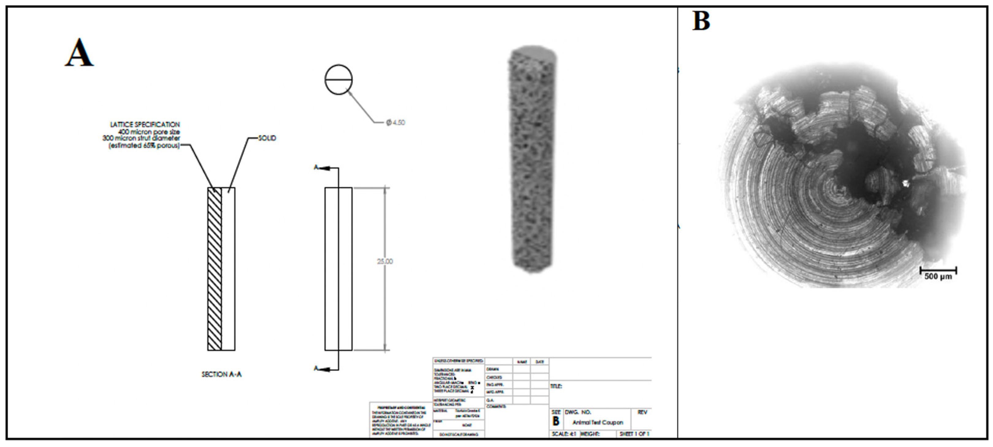 Materials 16 07026 g001