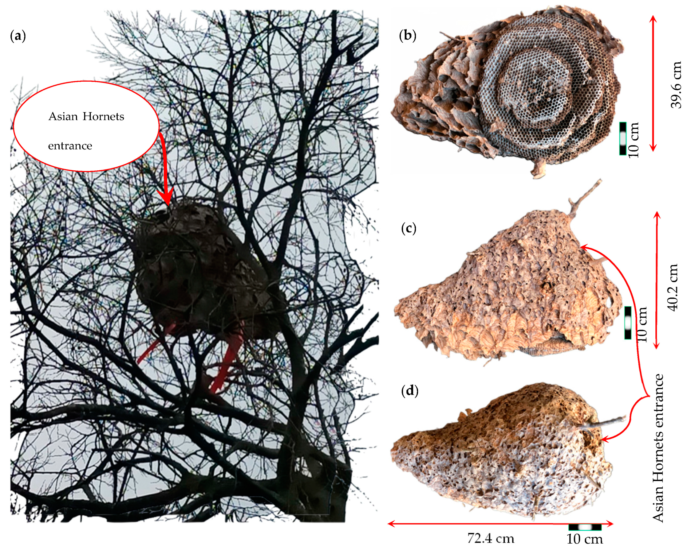 Materials 16 07027 g001