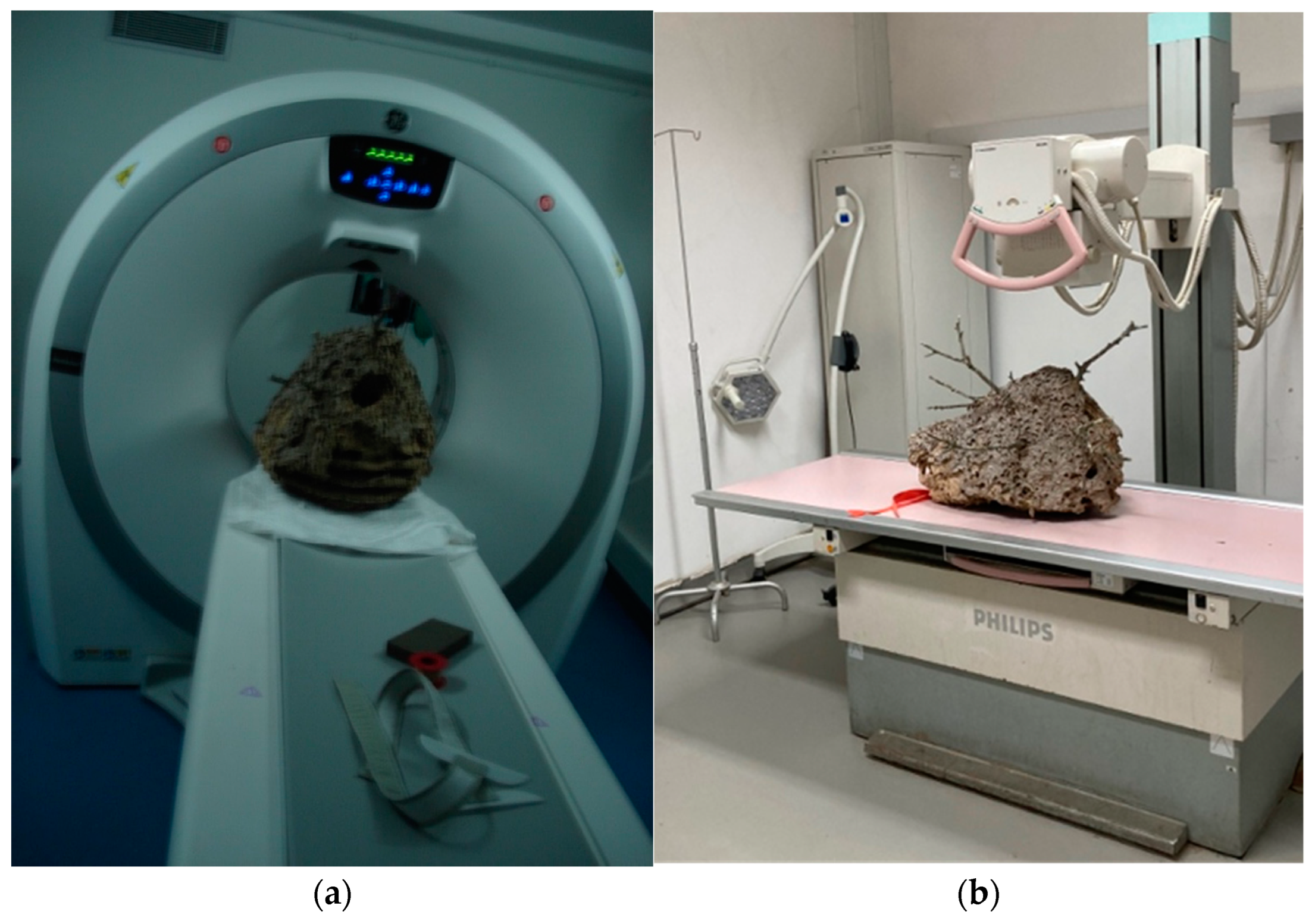 Materials 16 07027 g002