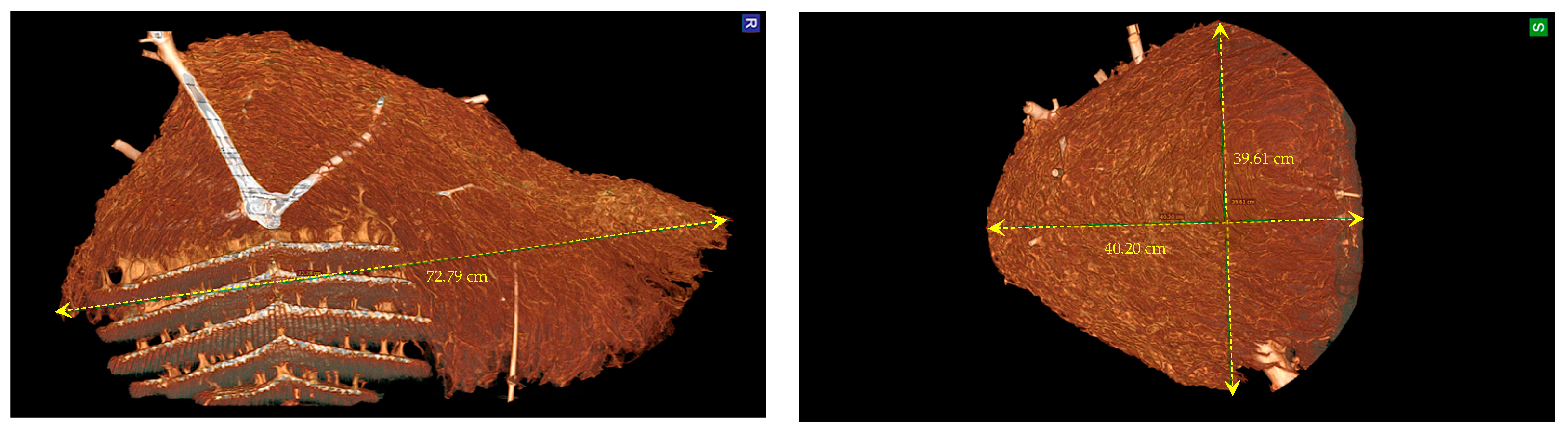 Materials 16 07027 g003