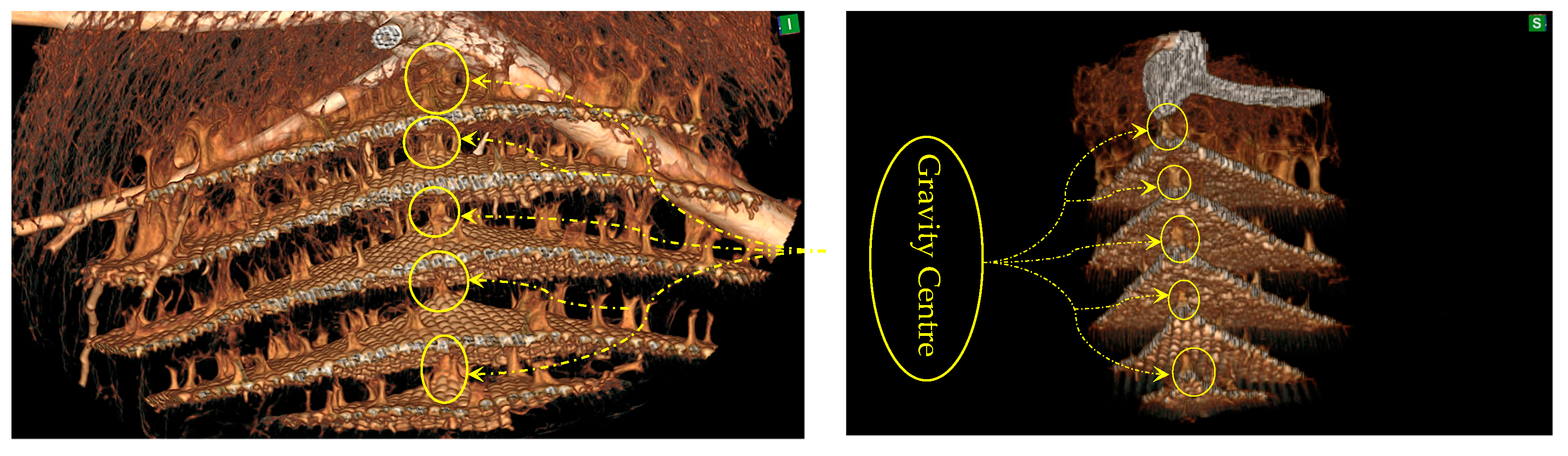 Materials 16 07027 g007
