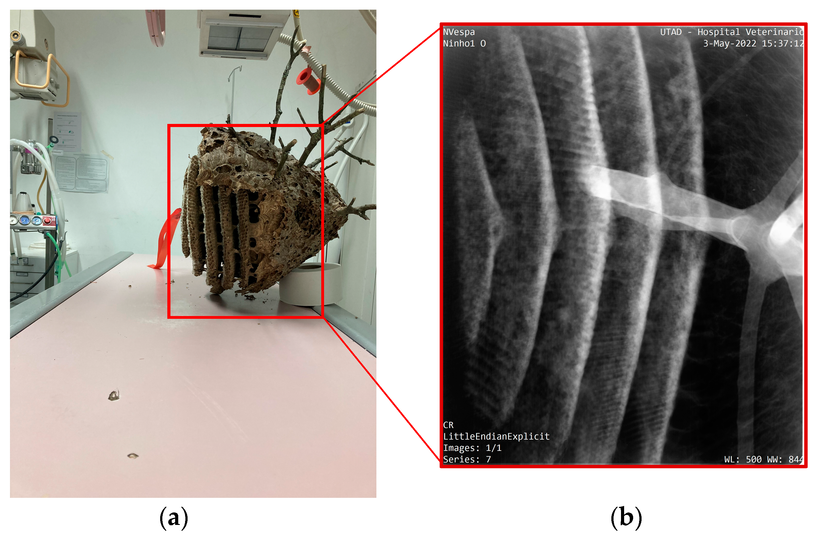 Materials 16 07027 g014