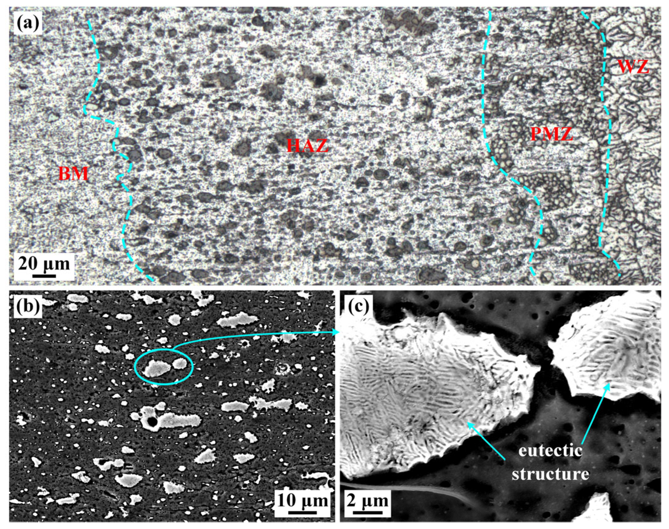 Materials 16 07028 g010