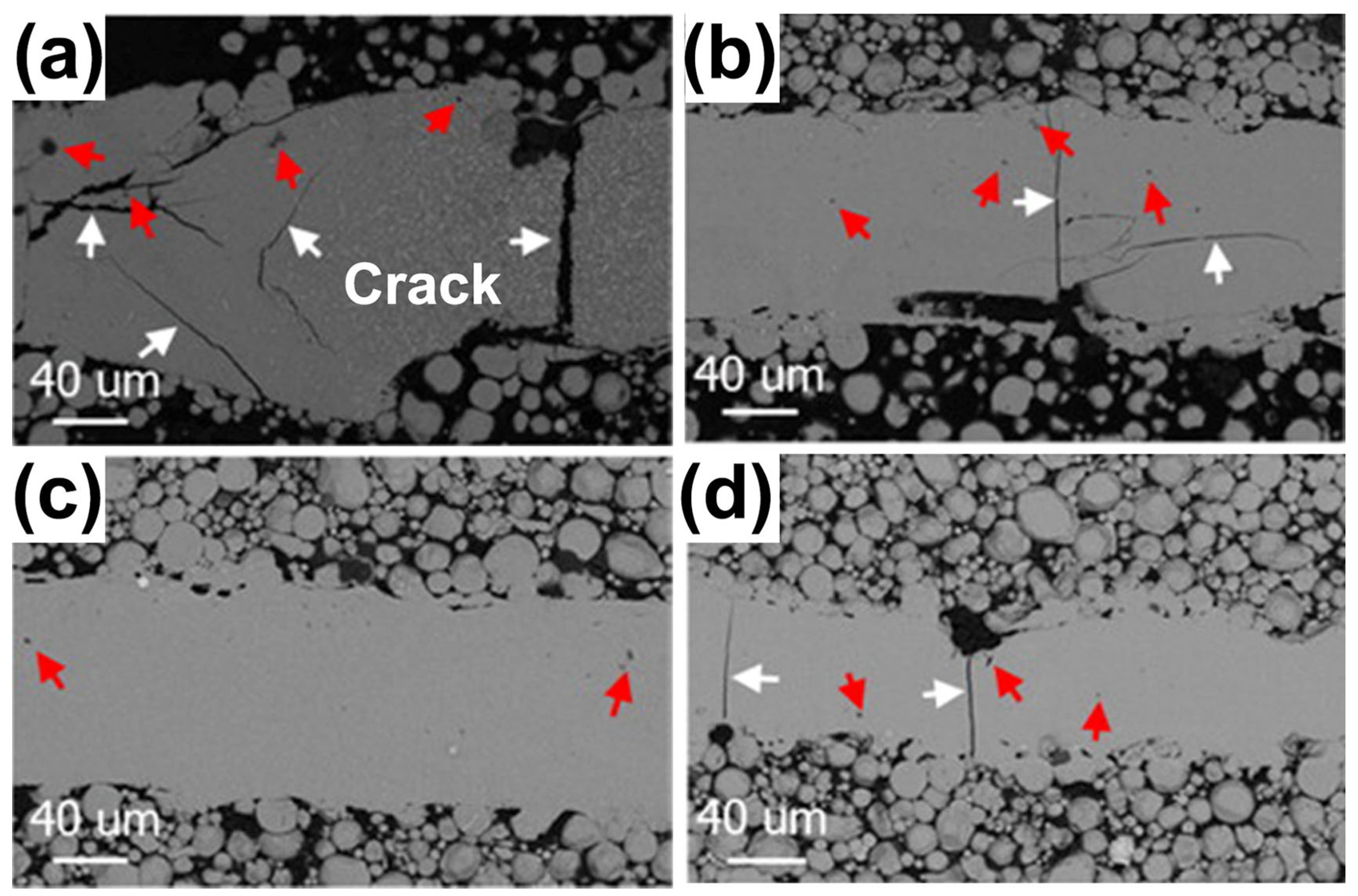 Materials 16 07034 g015 Materials 16 07034 g015