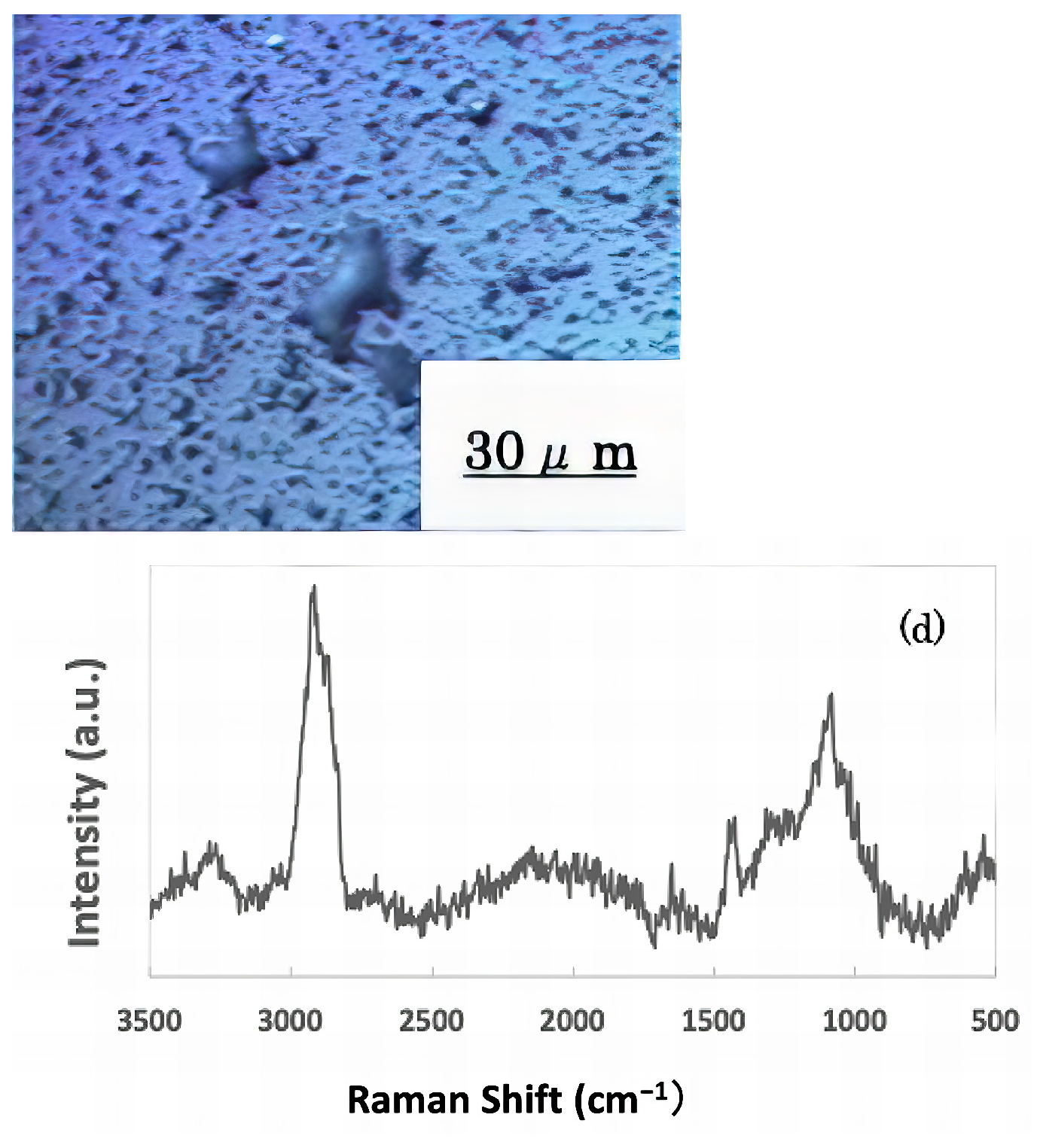 Materials 16 07051 g006b Materials 16 07051 g006b