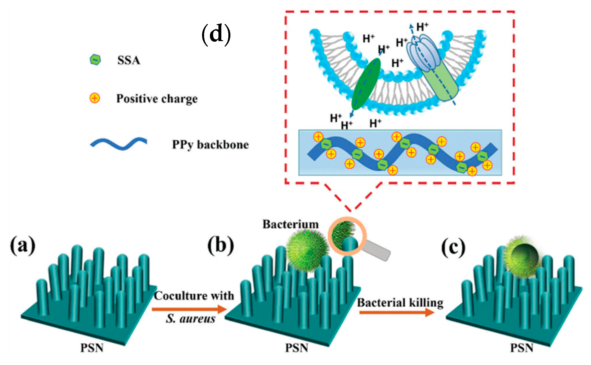 Materials 16 07069 g007 Materials 16 07069 g007