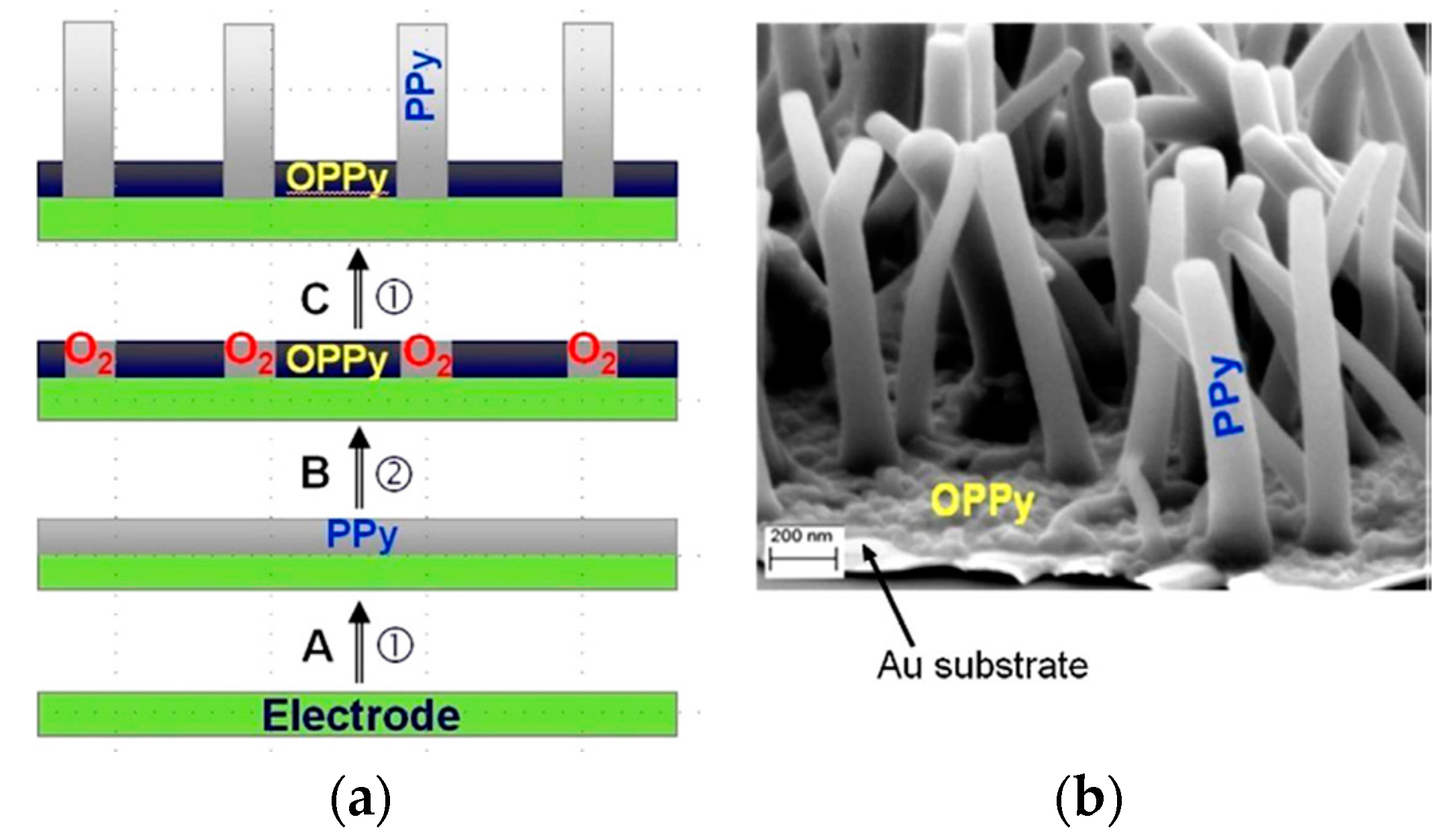 Materials 16 07069 g013 Materials 16 07069 g013