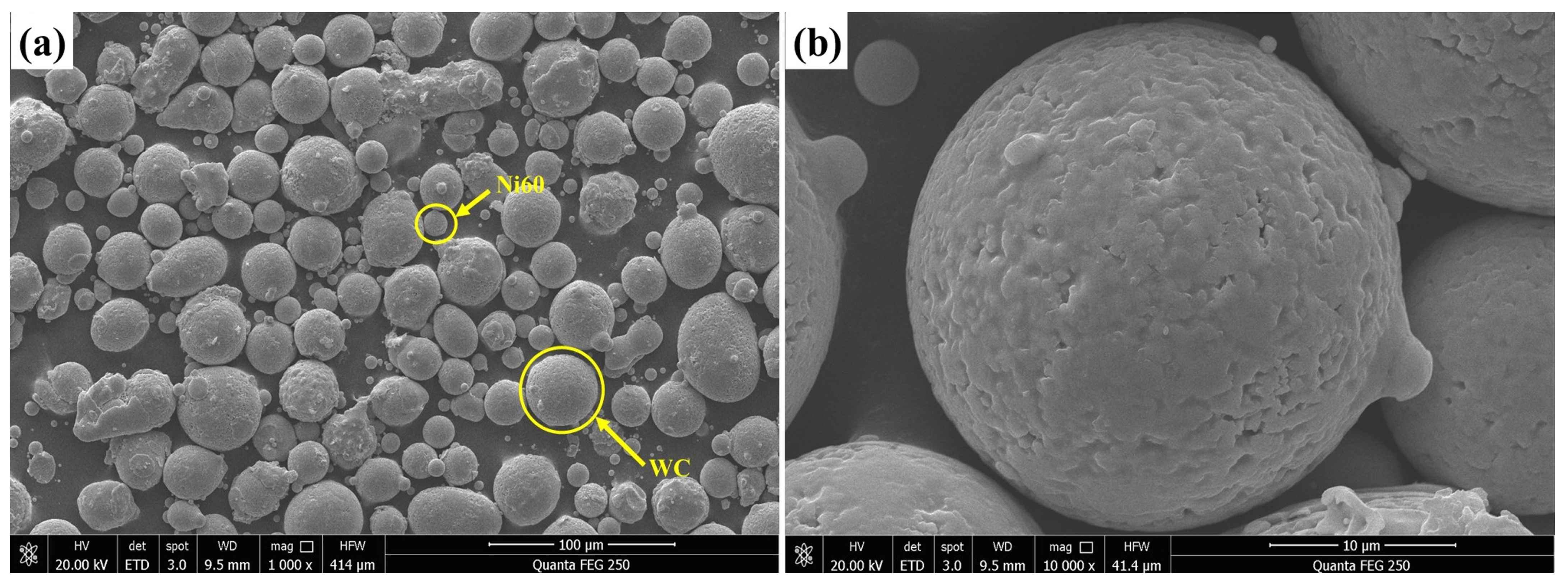 Materials 16 07070 g001