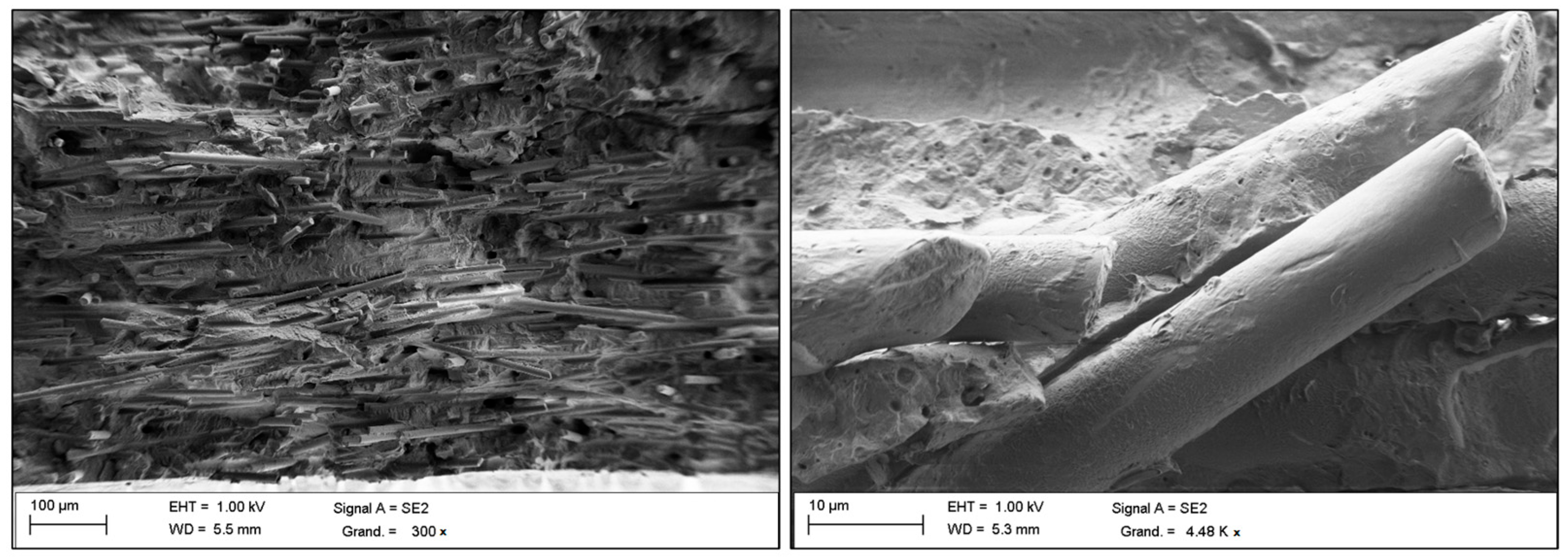 Materials 16 07073 g001