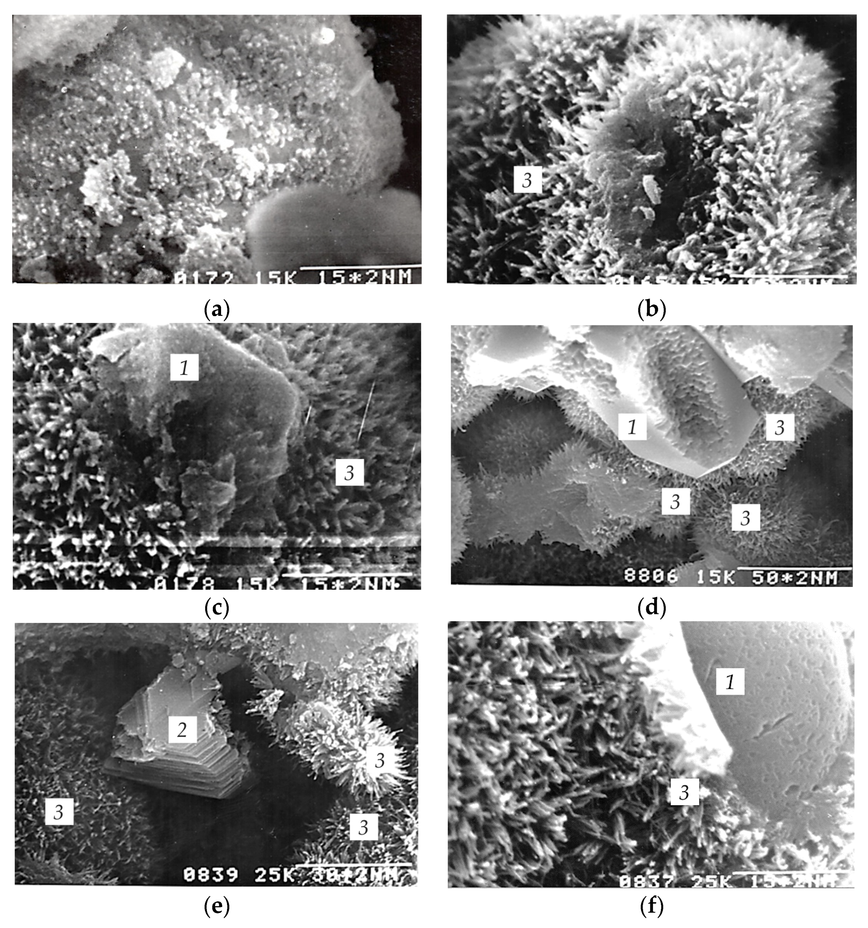 Materials 16 07078 g010