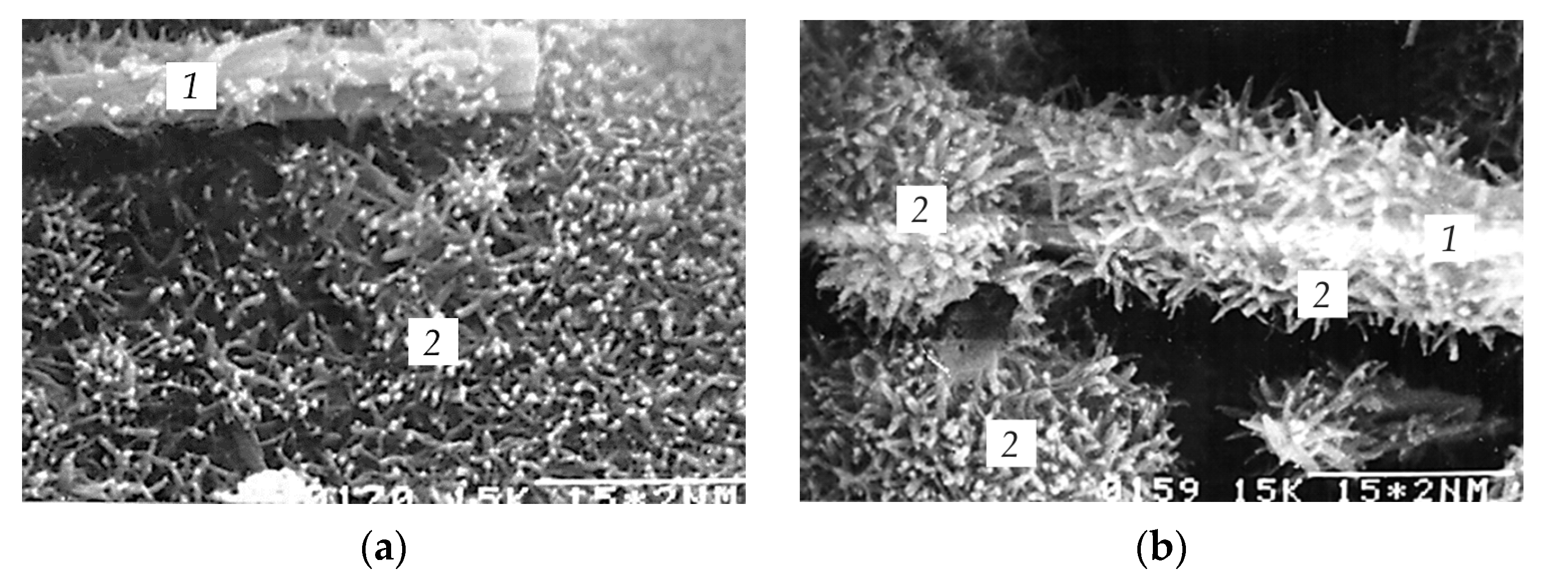 Materials 16 07078 g011a