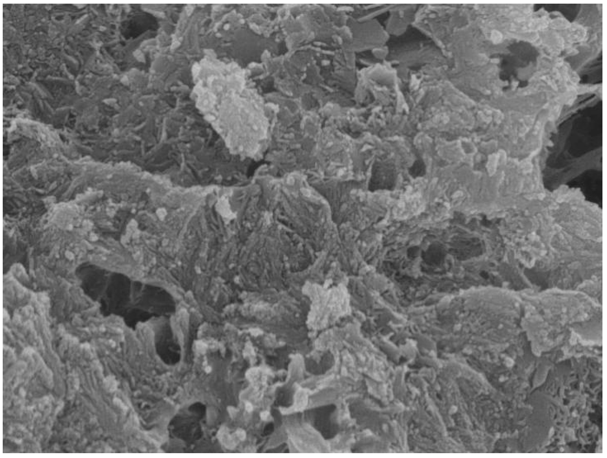 Materials 16 07082 g011