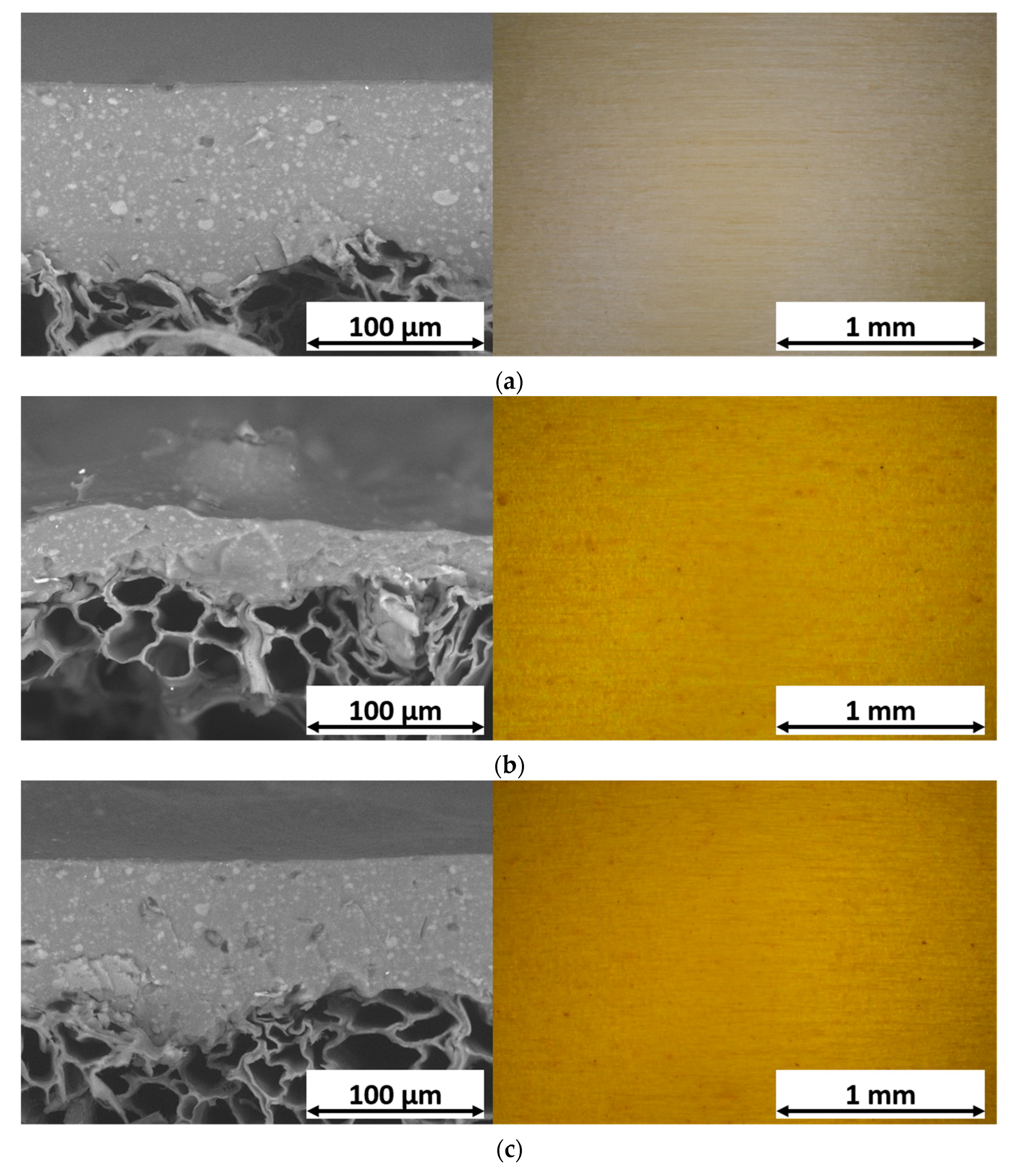 Materials 16 07086 g002a