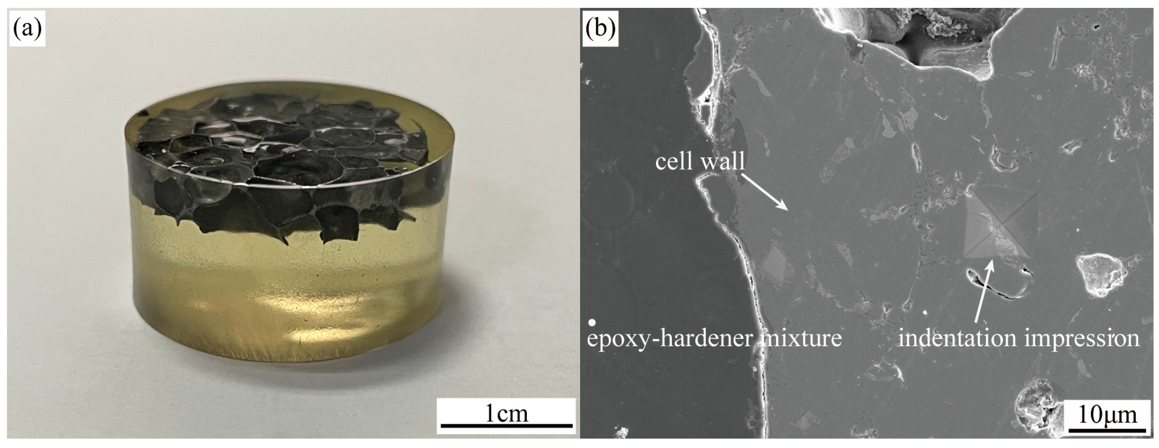 Materials 16 07091 g002