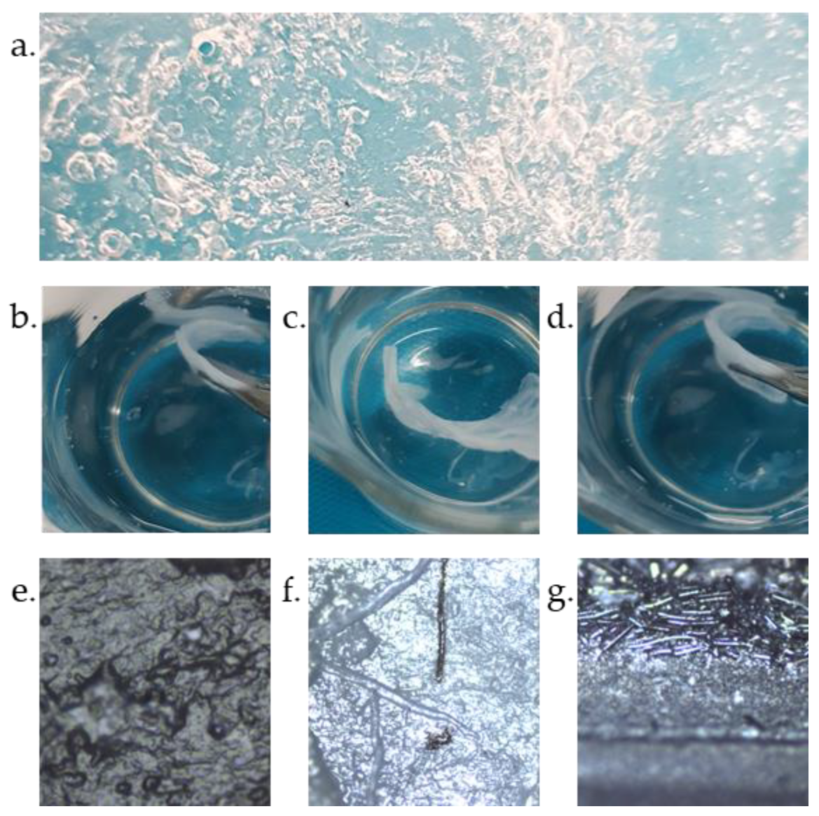 Materials 16 07111 g003