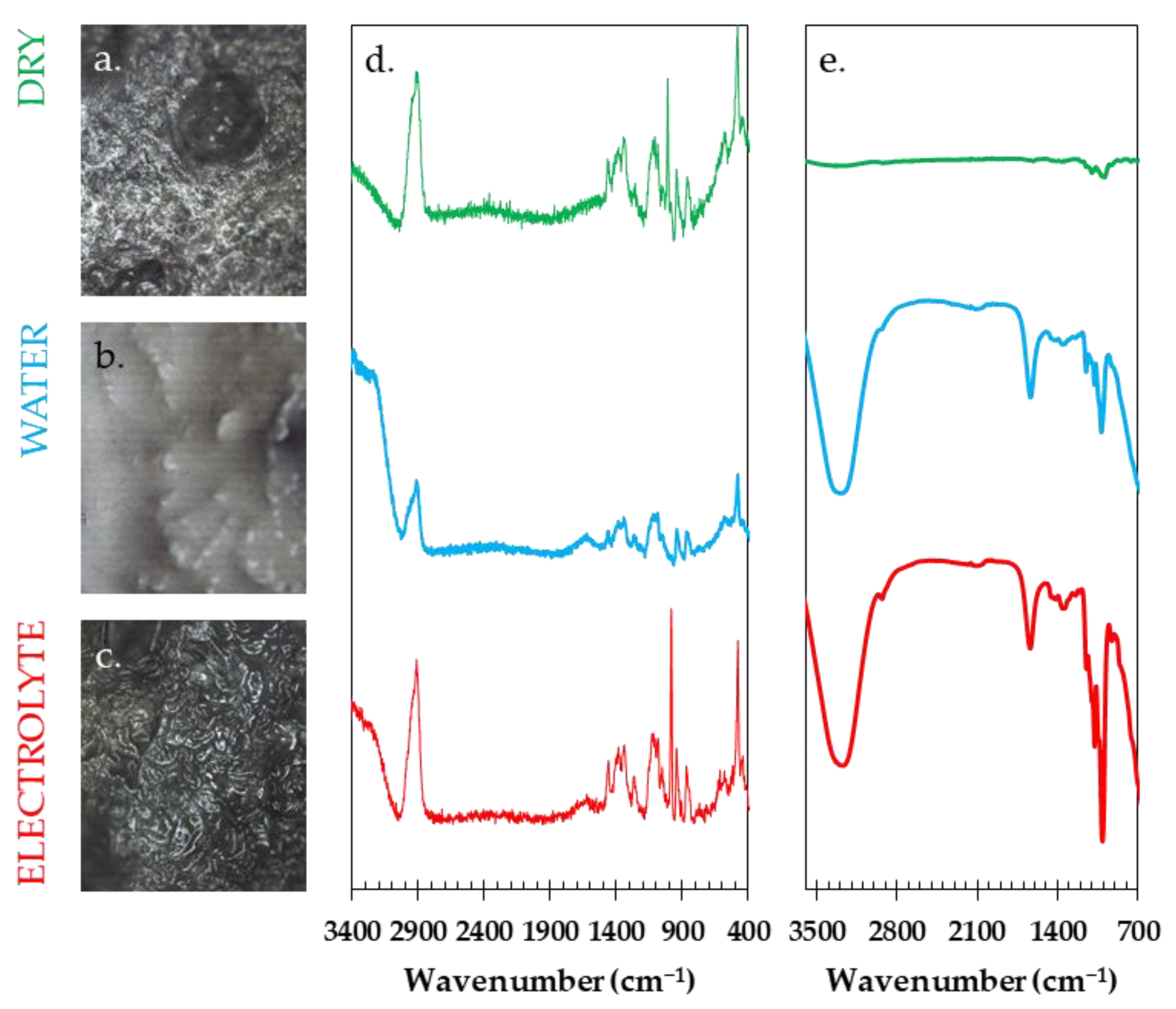 Materials 16 07111 g004