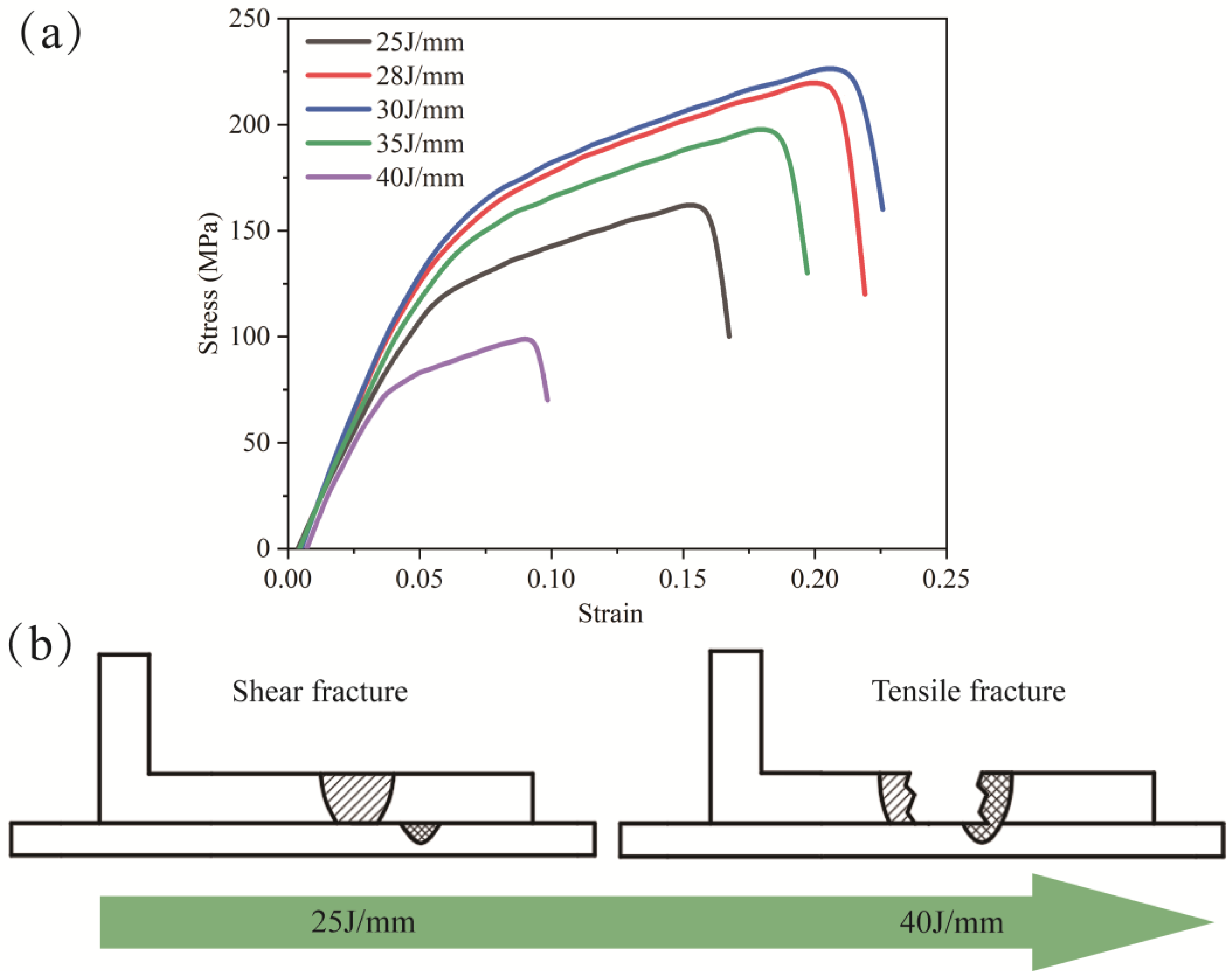 Materials 16 07114 g010