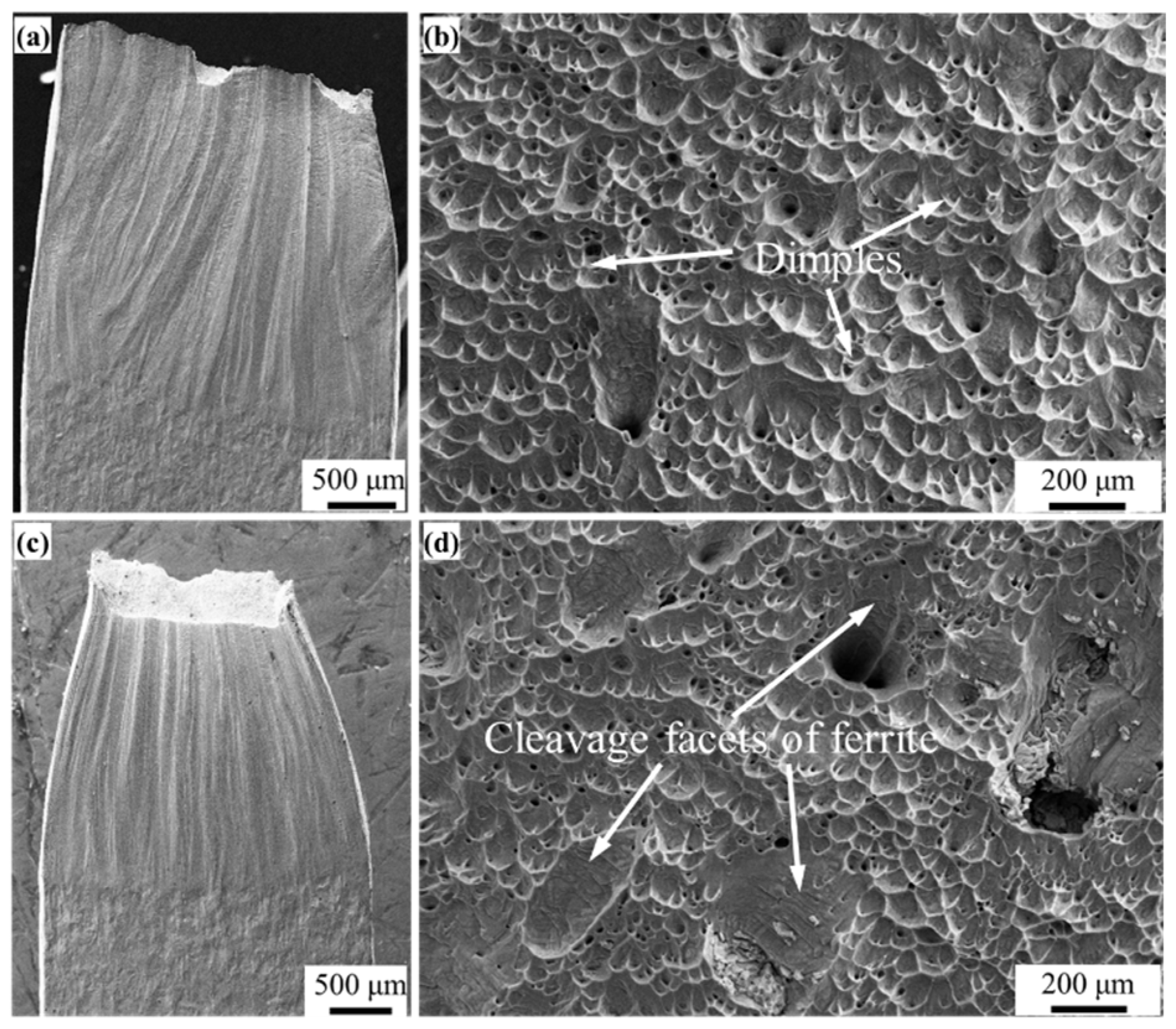 Materials 16 07119 g008