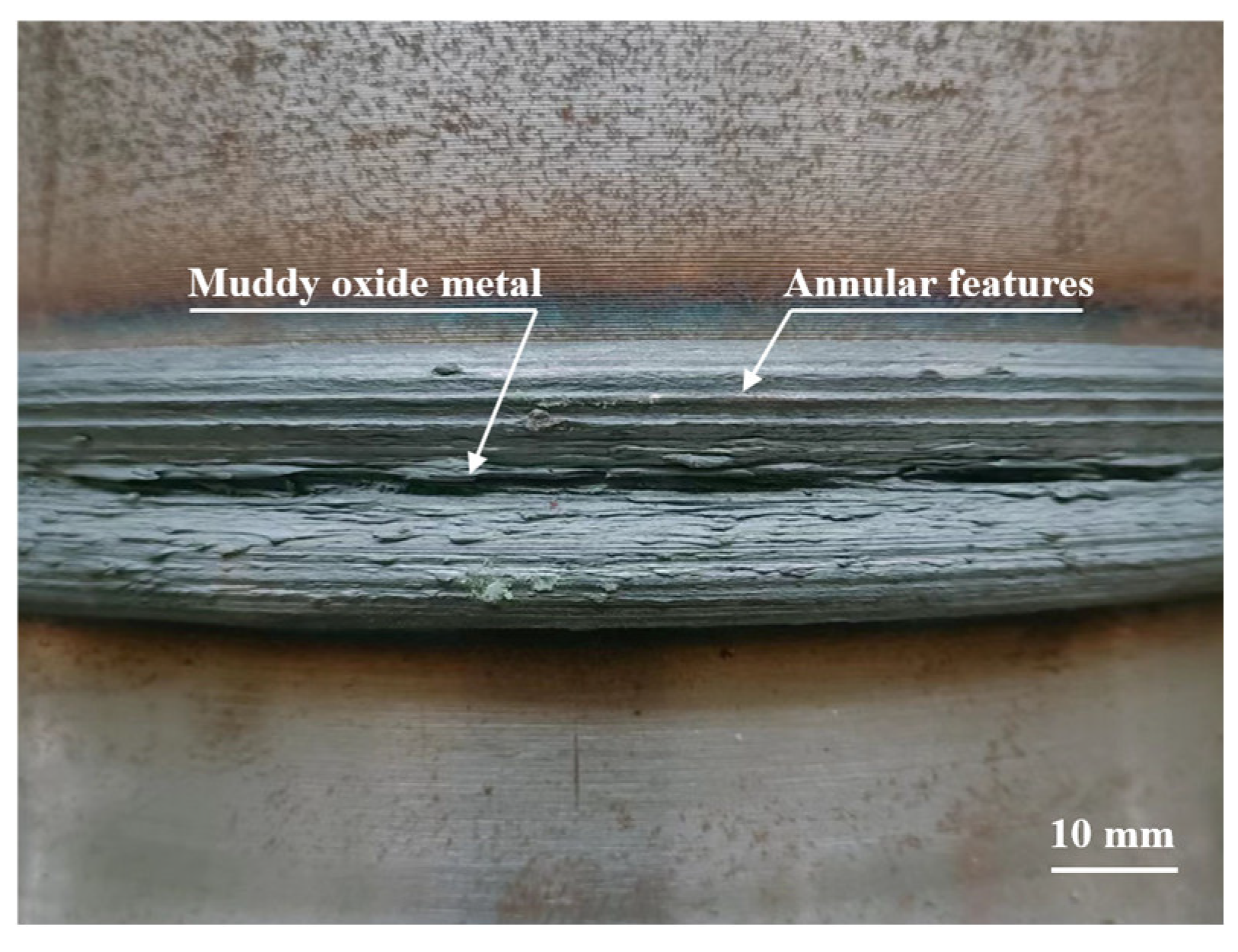 Materials 16 07127 g005