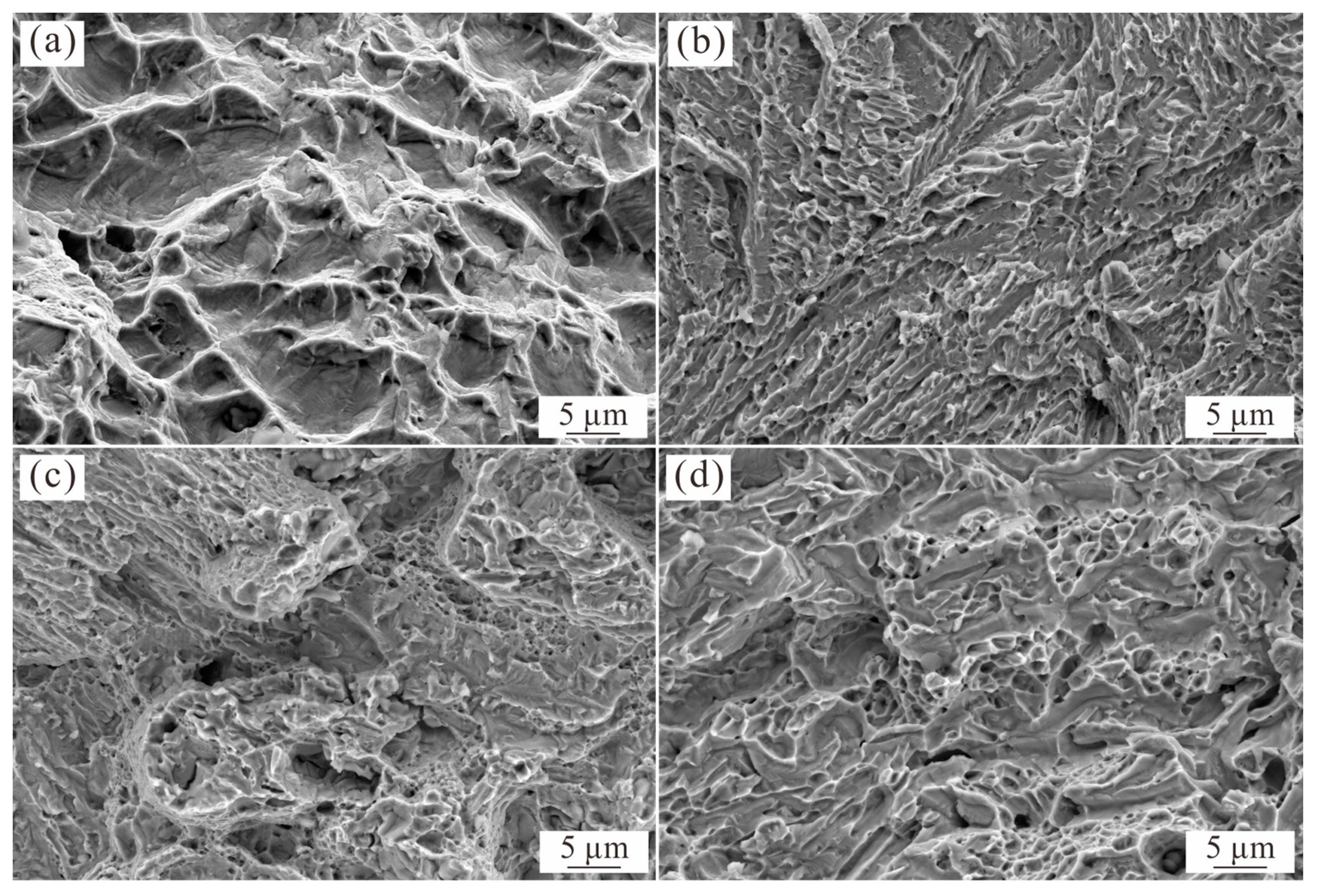 Materials 16 07161 g007