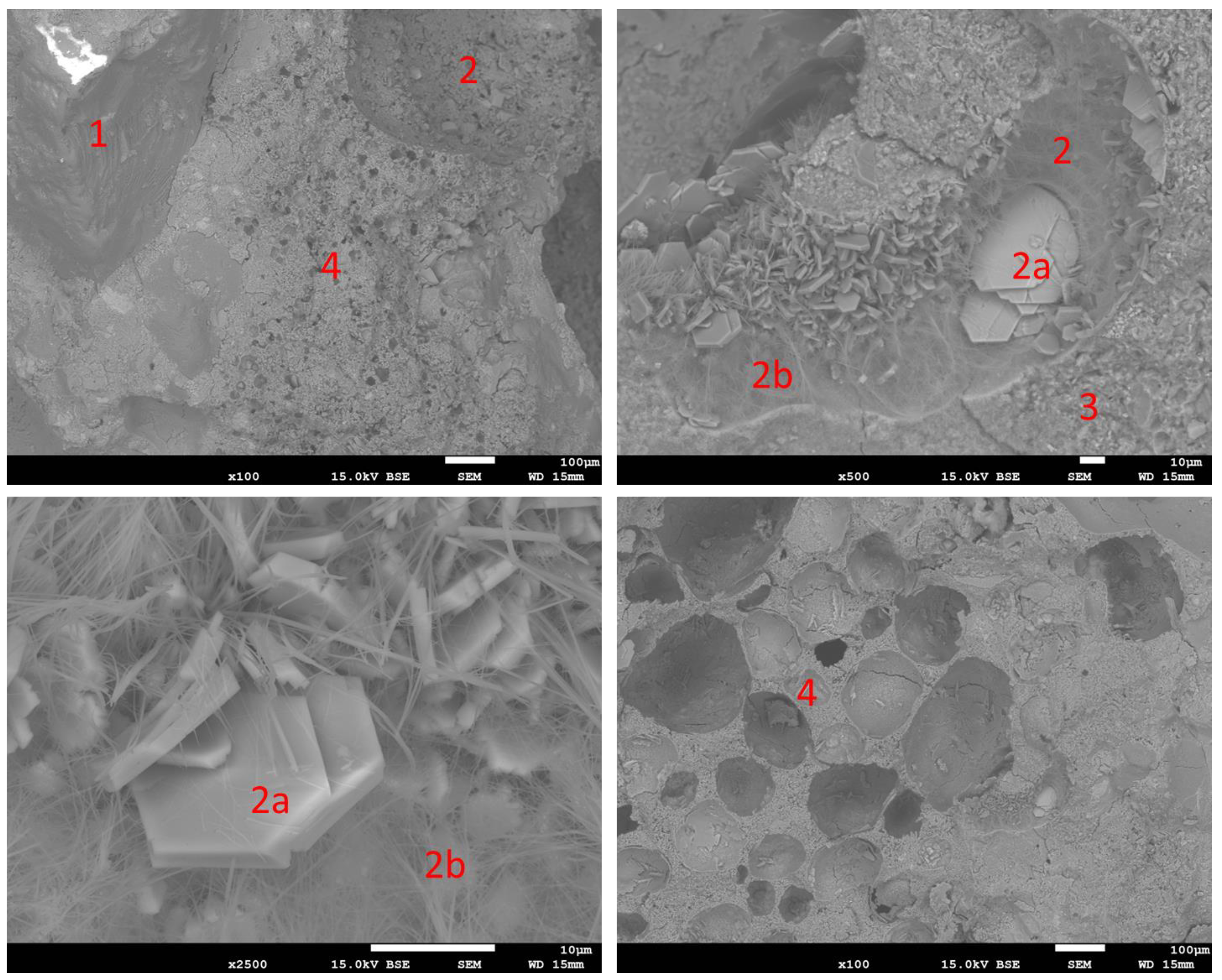 Materials 16 07169 g017